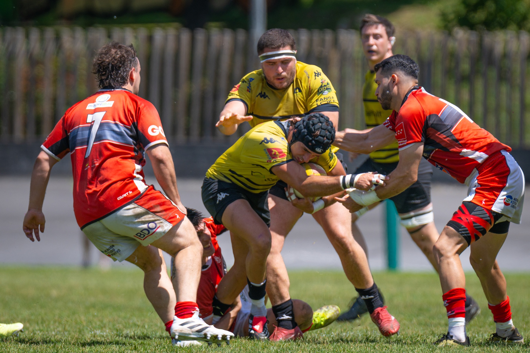  Getxo Artea Rugby Taldea - CAU Rugby Valencia - Rugby - FER 2026 - Getxo Rugby vs CAU Rugby Valencia (#FER26GRCAURV6) Photo by: Fredy Monfoto | Siuxy Sports 2026-06-07