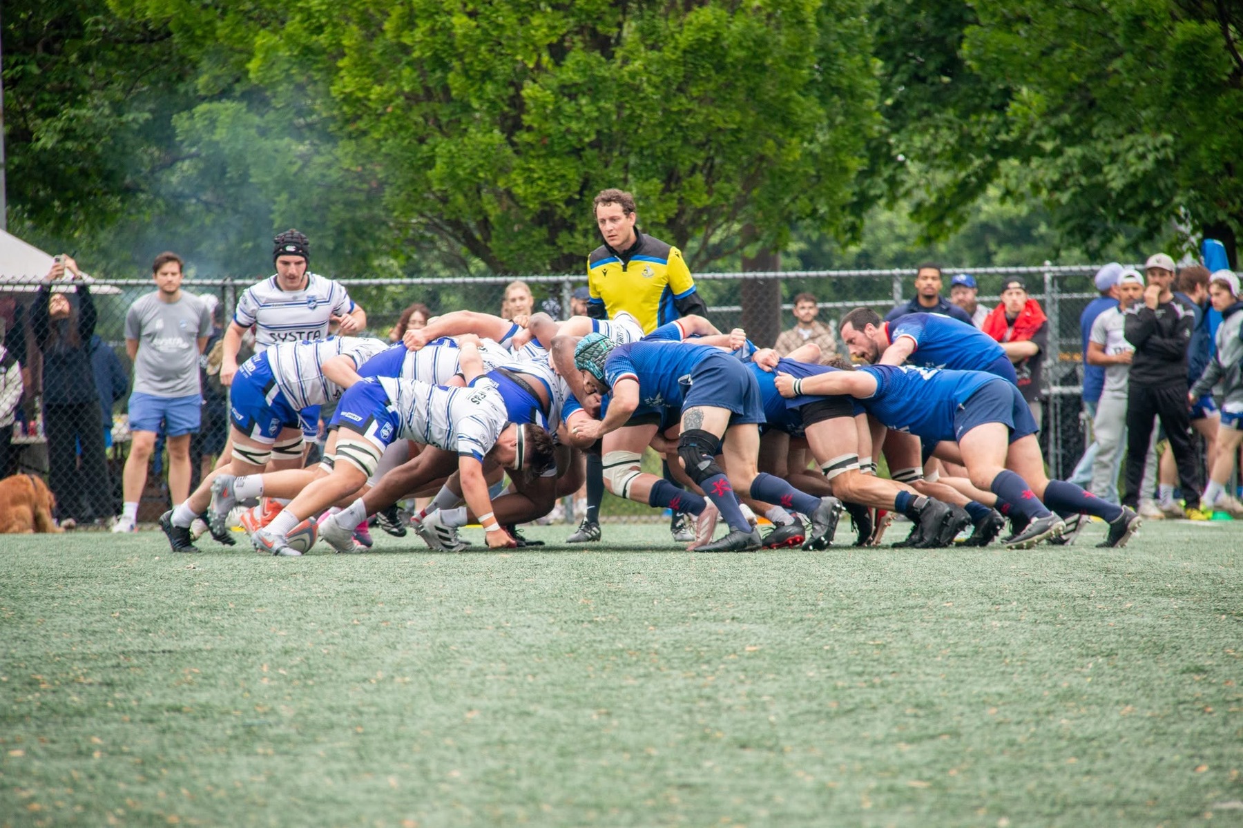  Rugby XV de Montréal - Parc Olympique Rugby - Rugby - RQ 2026 - LP1M 1ra - XV de Montreal vs Parc Olympique (#RQ26LP1M1XVMPO6) Photo by:  | Siuxy Sports 2026-06-06
