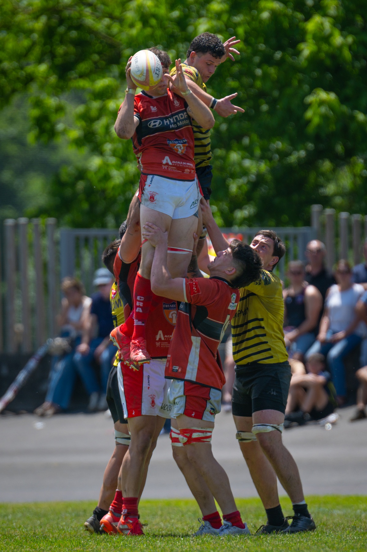  Getxo Artea Rugby Taldea - CAU Rugby Valencia - Rugby - FER 2026 - Getxo Rugby vs CAU Rugby Valencia (#FER26GRCAURV6) Photo by: Fredy Monfoto | Siuxy Sports 2026-06-07