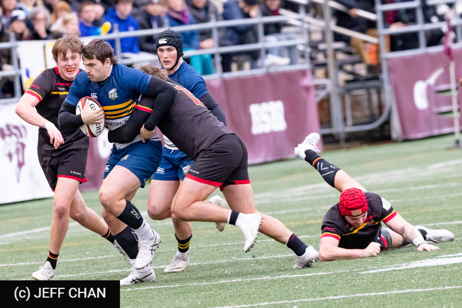 Matthew BREEN -  University of British Columbia - University of Guelph - Rugby - CANUMENS 2024 - Bronze - UBC vs Guelph by Jeff Chan (#CANUMENS2411) Photo by: Jeff Chan | Siuxy Sports 2024-11-17