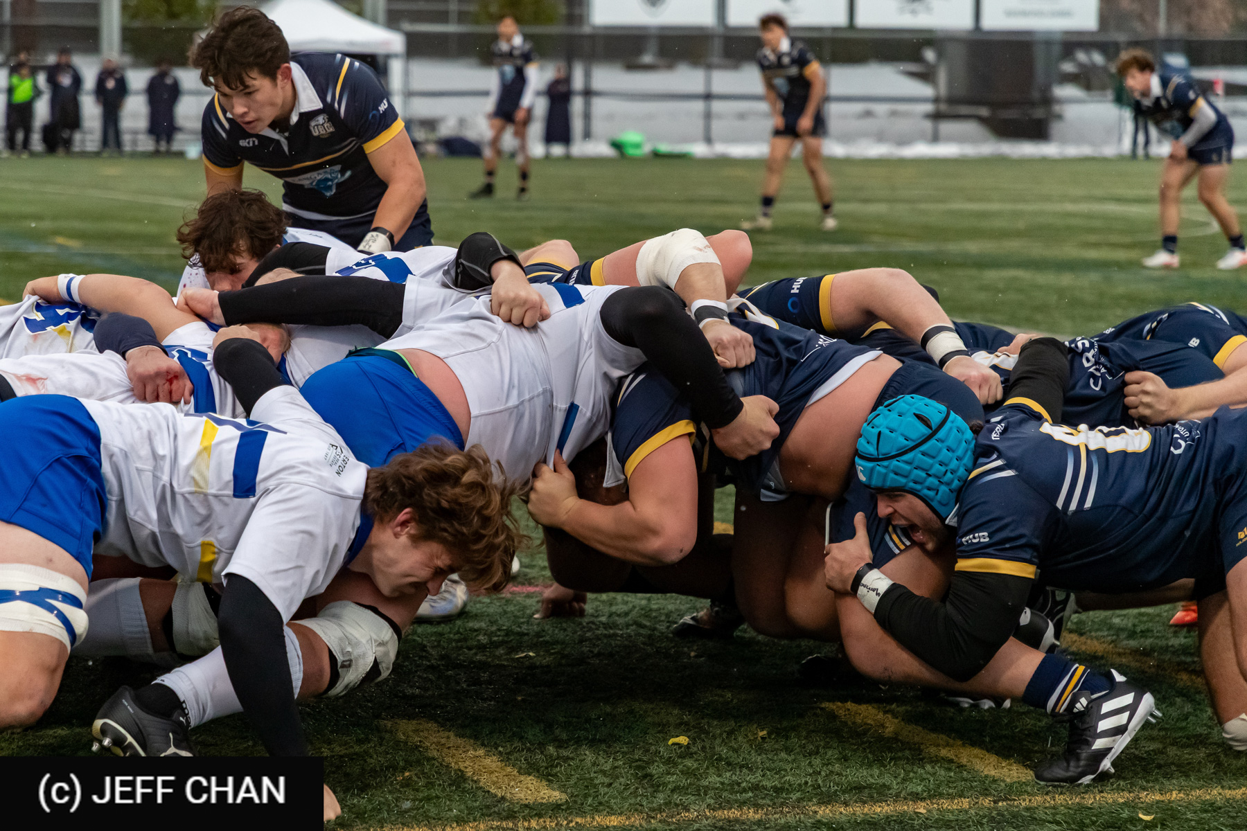  University of British Columbia - University of Victoria - Rugby - CANUMENS 2025 -University of British Columbia vs University of Victoria - Game#11 by Jeff Chan (#CANUMENS2561) Photo by: Jeff Chan | Siuxy Sports 2025-11-16
