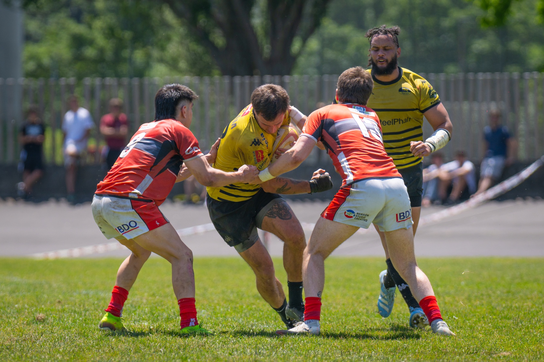  Getxo Artea Rugby Taldea - CAU Rugby Valencia - Rugby - FER 2026 - Getxo Rugby vs CAU Rugby Valencia (#FER26GRCAURV6) Photo by: Fredy Monfoto | Siuxy Sports 2026-06-07