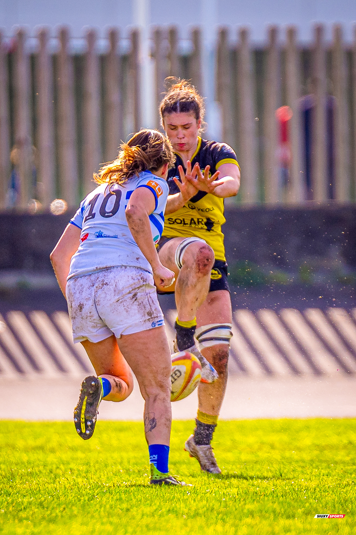  Getxo Artea Rugby Taldea - Olimpico RC Pozuelo - Rugby - FER 2026 - Getxo Neskak vs Olimpico Pozuelo (#FER26GNOP02) Photo by: Fredy Monfoto | Siuxy Sports 2026-02-22