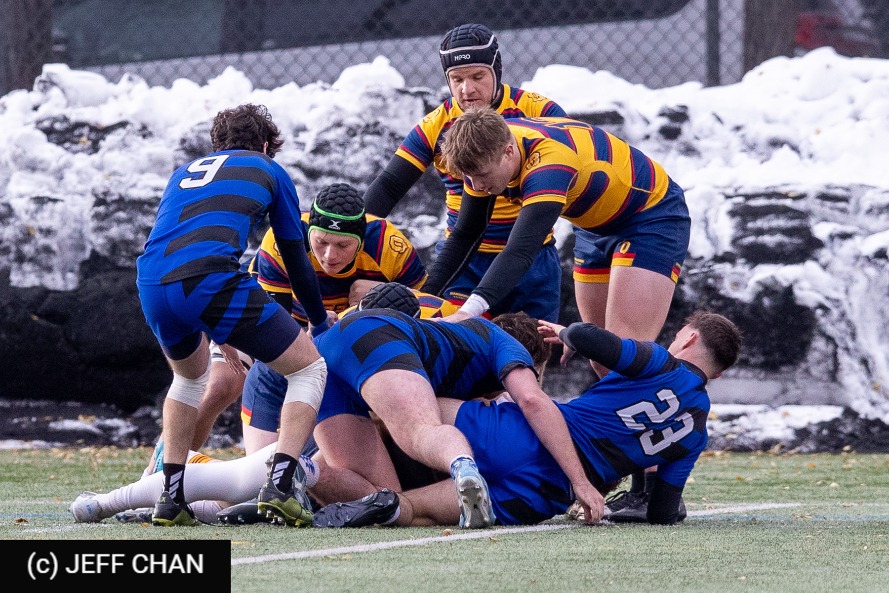  Université de Montréal - Queen's University - Rugby - CANUMENS 2025 - Université de Montréal vs Queen's University - Game#10 by Jeff Chan (#CANUMENS2560) Photo by: Jeff Chan | Siuxy Sports 2025-11-16