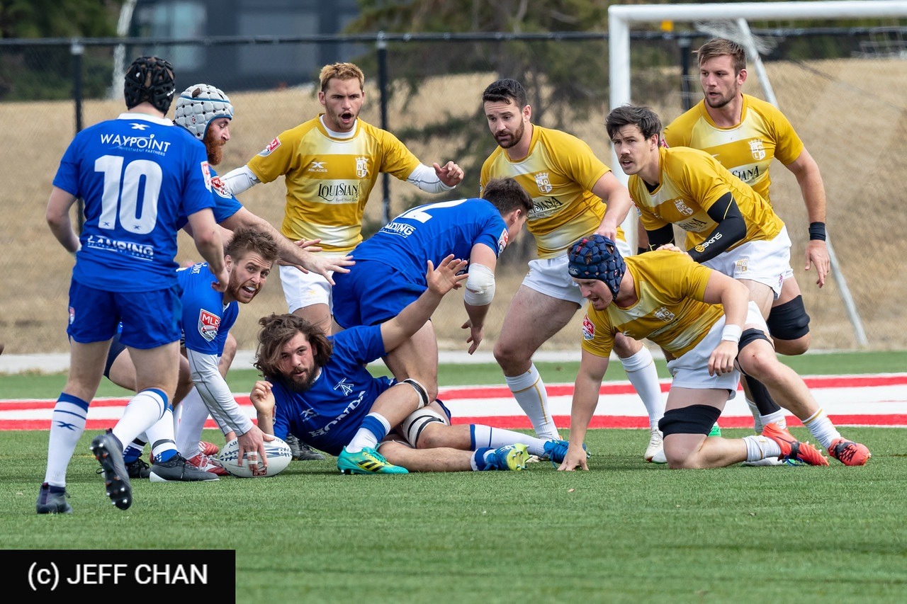  Toronto - NOLA Gold Rugby - Rugby - MLR 2019 Toronto Arrows vs NOLA Gold (#MLR19TONO04) Photo by: Jeff Chan | Siuxy Sports 2019-04-07