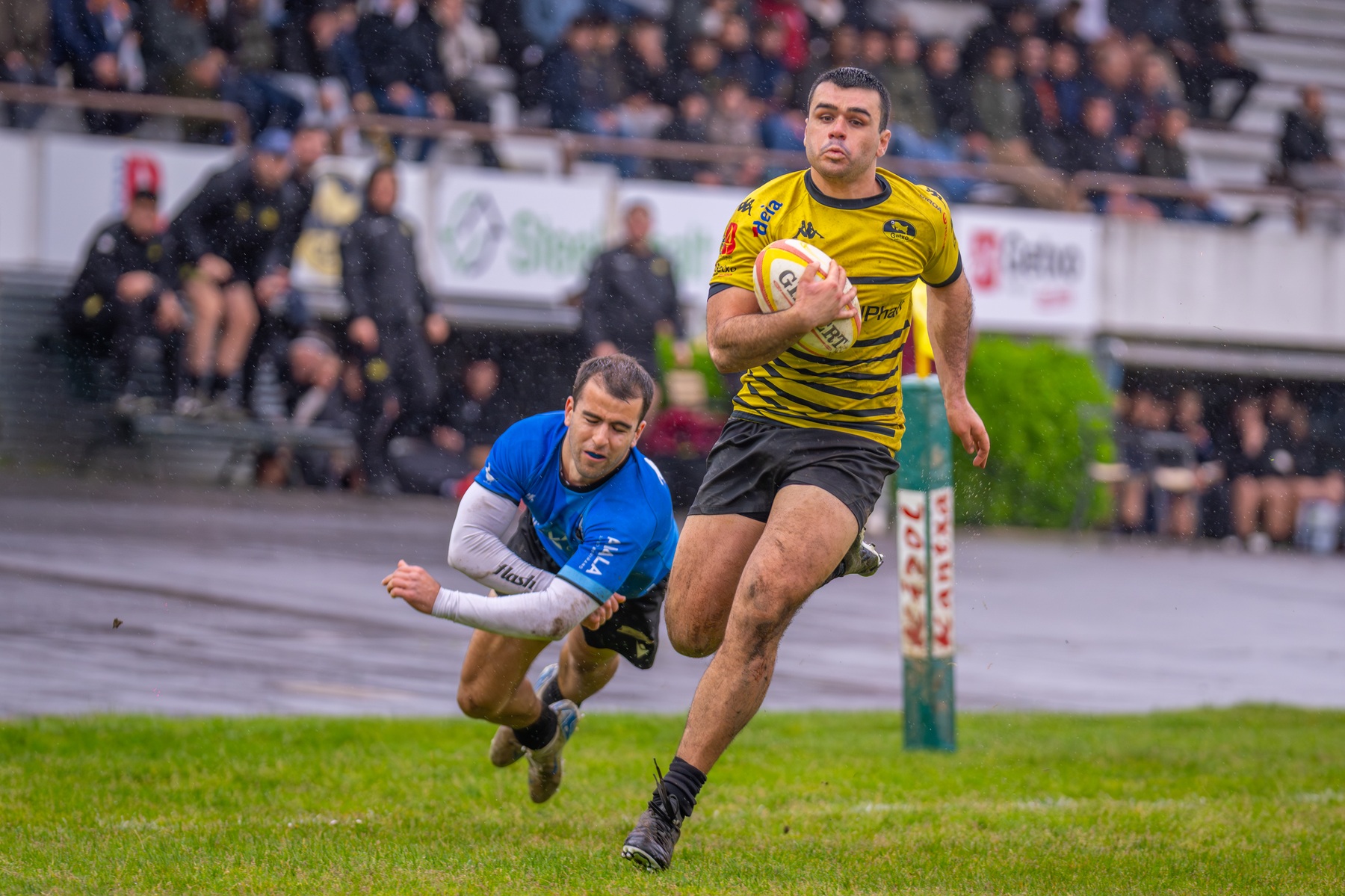  Getxo Artea Rugby Taldea - Gipuzkoa Sortzen - Rugby - FER 2026 - Getxo vs Gipuzkoa Sortzen - Fase de ascenso a Liga Elite (#FER26GGSE04) Photo by: Fredy Monfoto | Siuxy Sports 2026-04-11