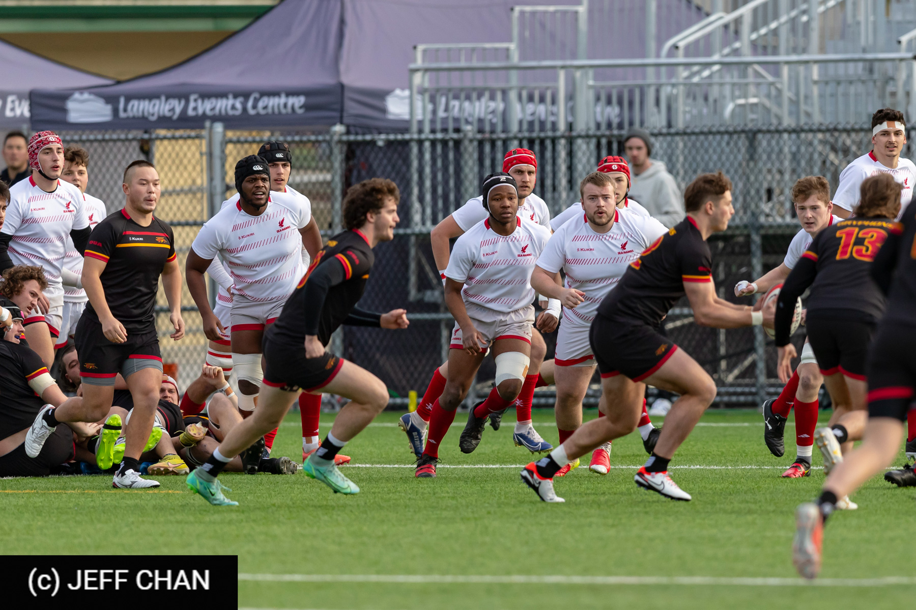 Ewen CURRY -  University of Guelph - Memorial University of Newfoundland - Rugby - CANUMENS 2023 - Bronze final - Guelph vs Memorial U by Jeff Chan (#CANUMENS2311) Photo by: Jeff Chan | Siuxy Sports 2023-11-19