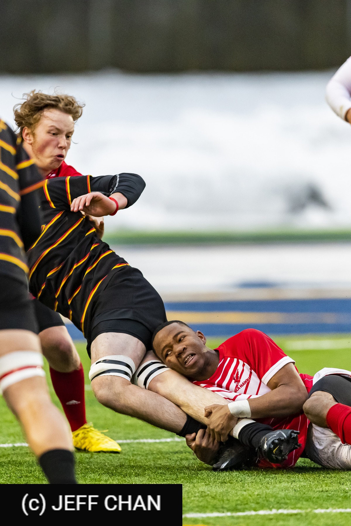  Memorial University of Newfoundland - University of Calgary - Rugby - CANUMENS 2022 - Memorial U vs Calgary -  by Jeff Chan (#CANUMENS2205) Photo by: Jeff Chan | Siuxy Sports 2022-12-02
