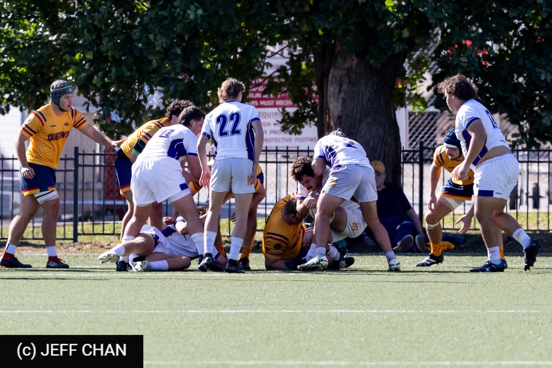  Queen's University - Wilfrid Laurier University - Rugby - OUA 2024 Queen's vs Laurier (#OUA24QULA10) Photo by: Jeff Chan | Siuxy Sports 2024-10-05