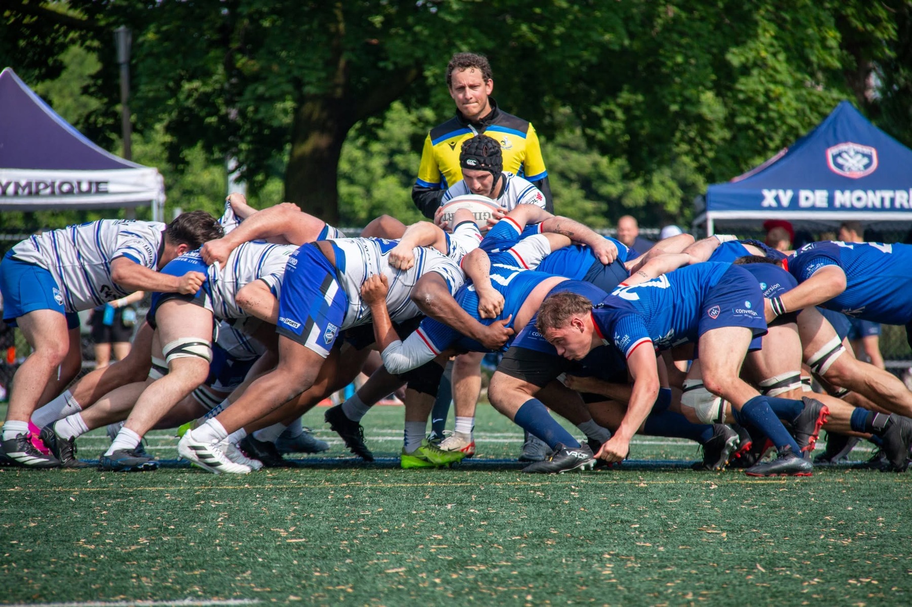  Rugby XV de Montréal - Parc Olympique Rugby - Rugby - RQ 2026 - LP1M 1ra - XV de Montreal vs Parc Olympique (#RQ26LP1M1XVMPO6) Photo by:  | Siuxy Sports 2026-06-06