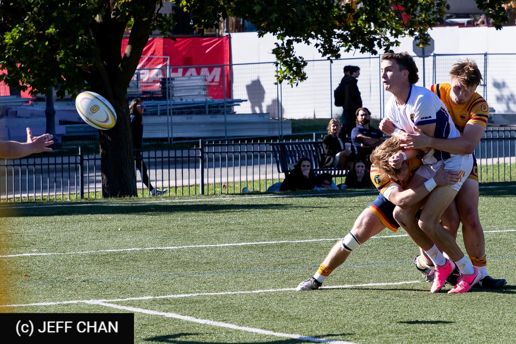  Queen's University - Wilfrid Laurier University - Rugby - OUA 2024 Queen's vs Laurier (#OUA24QULA10) Photo by: Jeff Chan | Siuxy Sports 2024-10-05