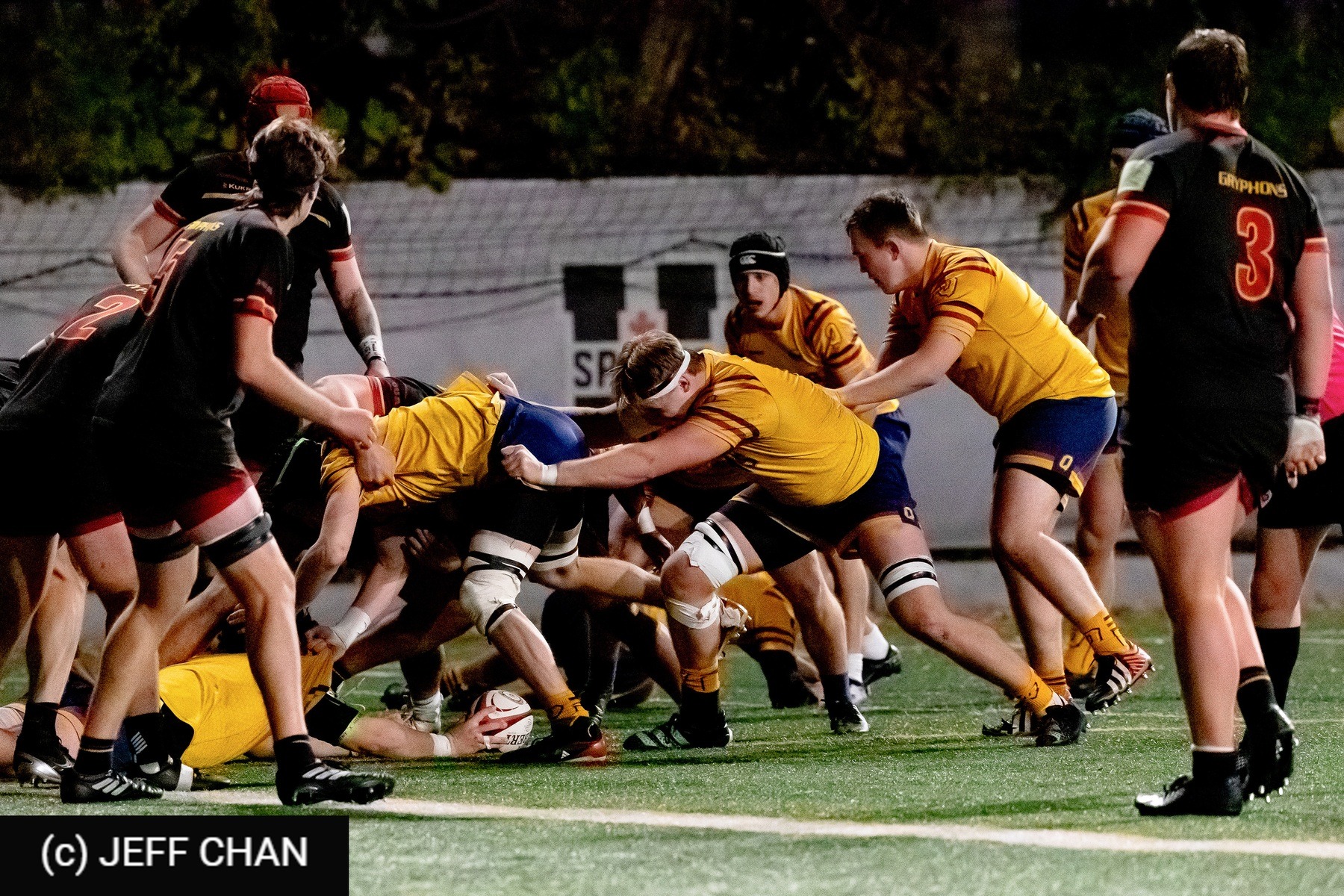  Queen's University - University of Guelph - Rugby - OUA 2024 Queen's vs Guelph (#OUA24QUG15) Photo by: Jeff Chan | Siuxy Sports 2024-11-15