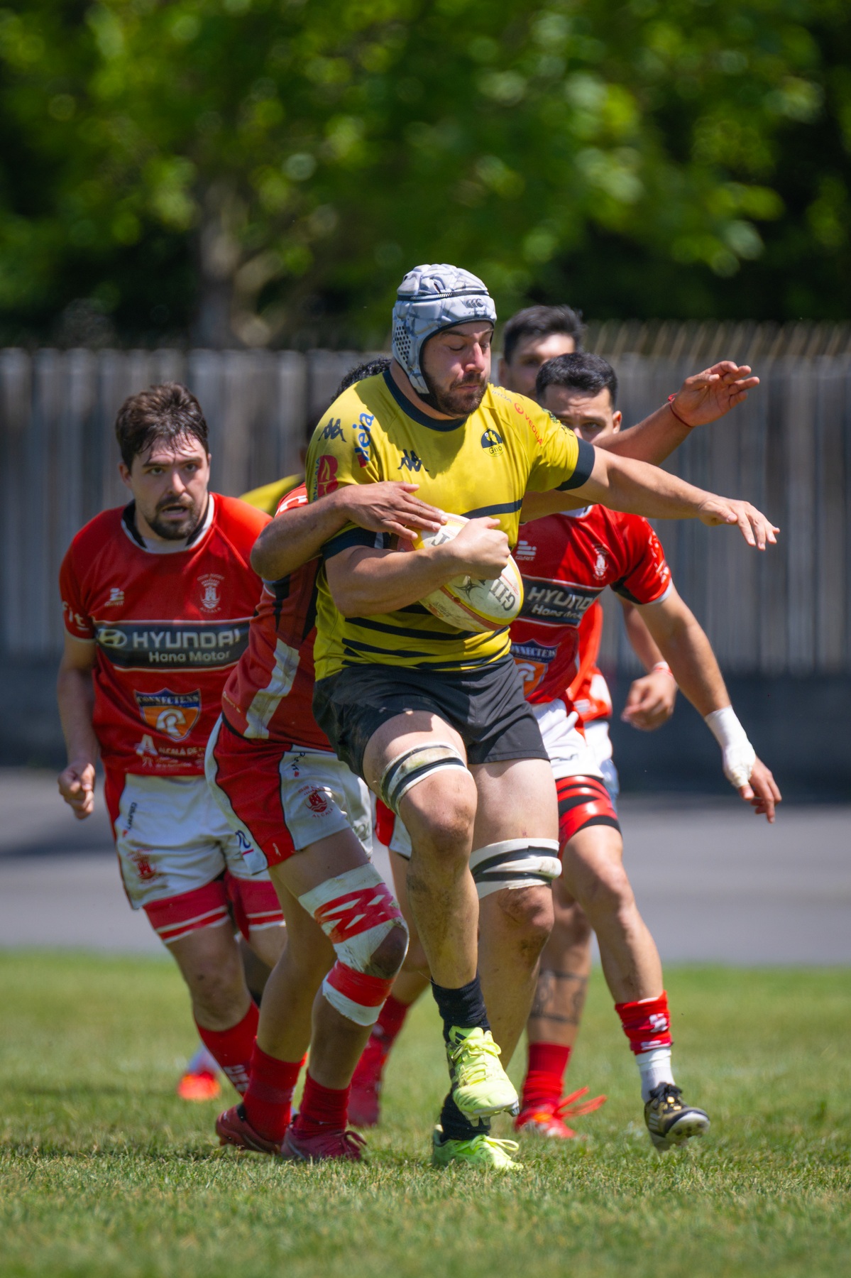  Getxo Artea Rugby Taldea - CAU Rugby Valencia - Rugby - FER 2026 - Getxo Rugby vs CAU Rugby Valencia (#FER26GRCAURV6) Photo by: Fredy Monfoto | Siuxy Sports 2026-06-07