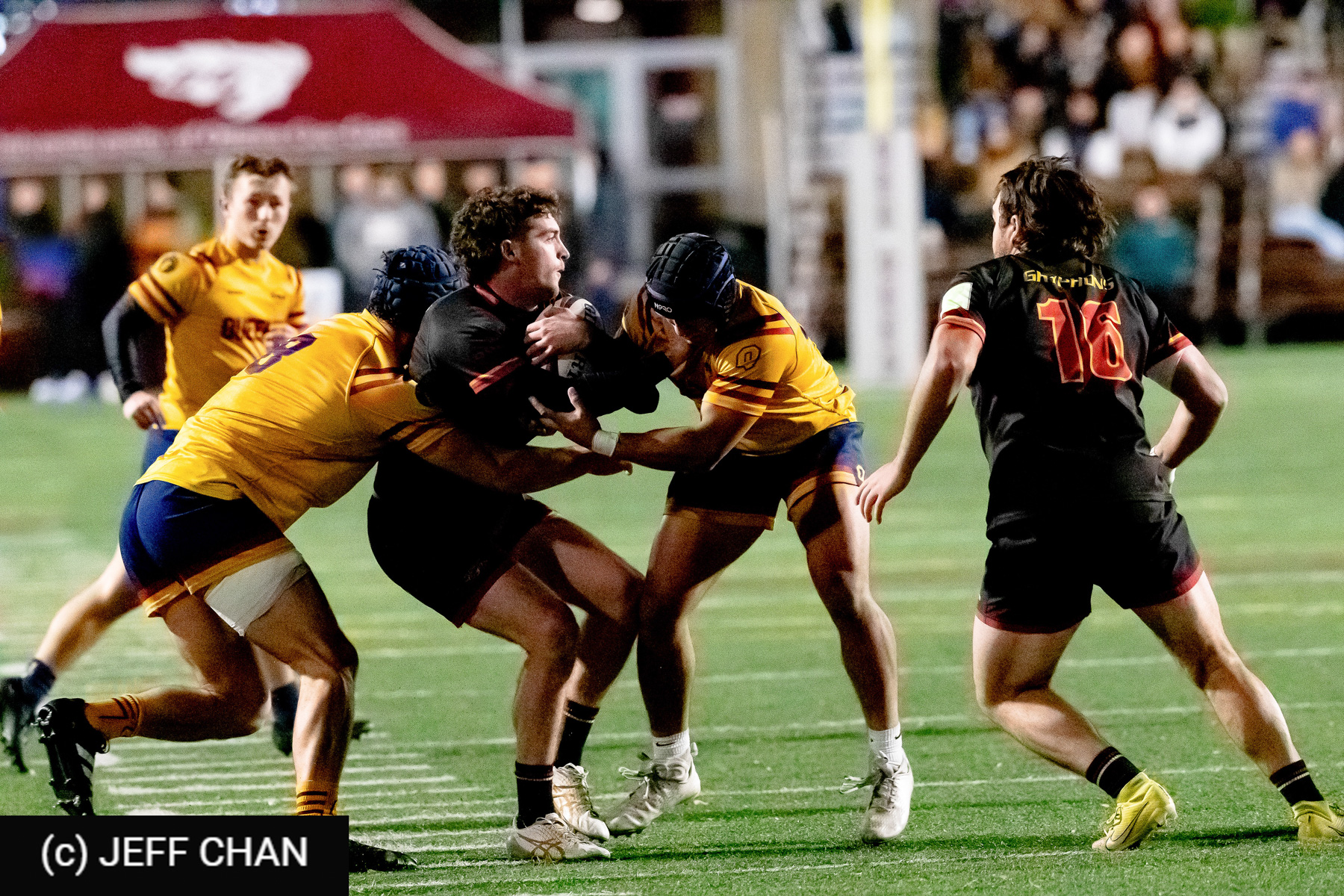  Queen's University - University of Guelph - Rugby - CANUMENS 2024 - Semi final - Queen's vs Guelph by Jeff Chan (#CANUMENS2408) Photo by: Jeff Chan | Siuxy Sports 2024-11-15
