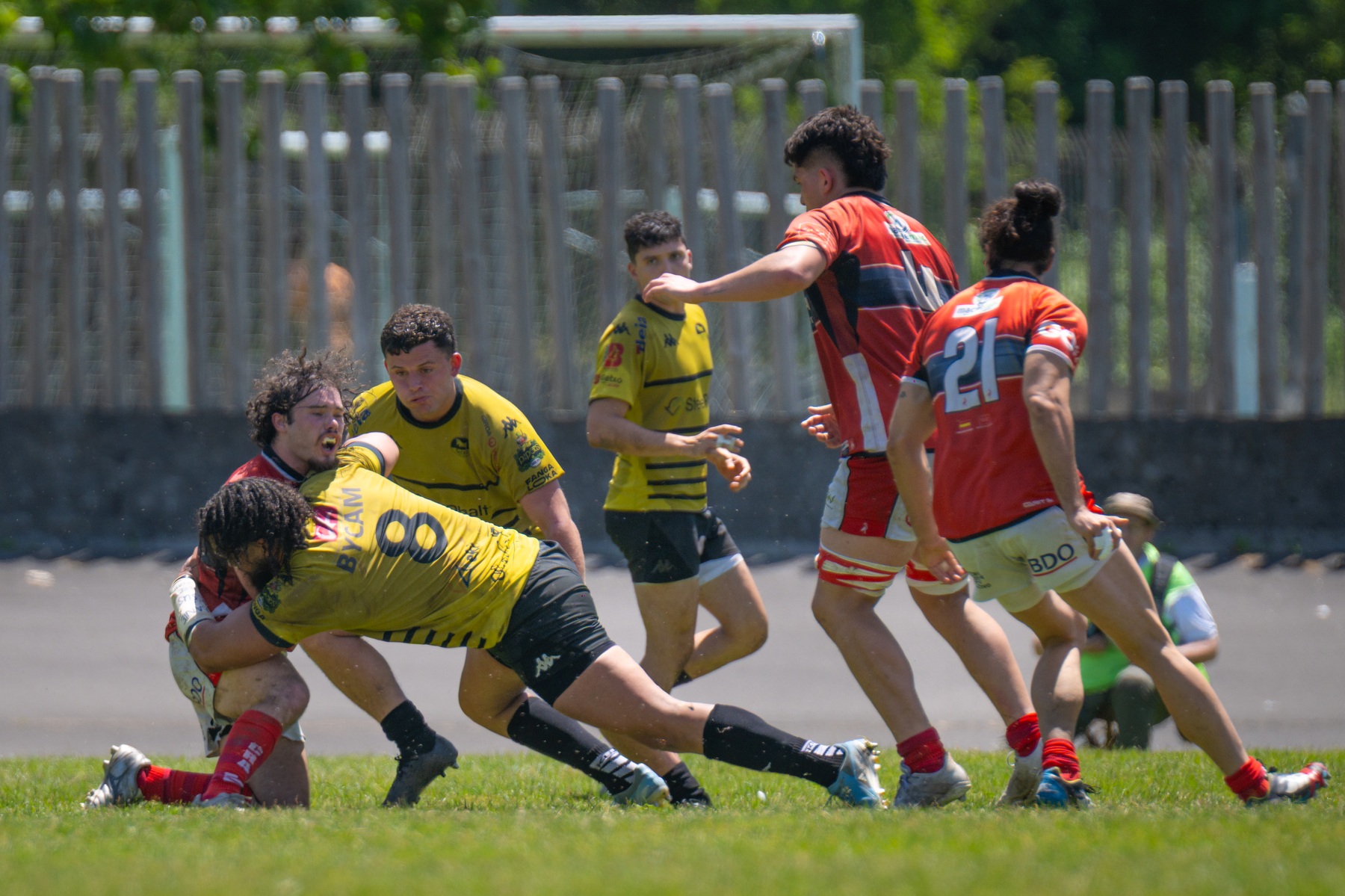  Getxo Artea Rugby Taldea - CAU Rugby Valencia - Rugby - FER 2026 - Getxo Rugby vs CAU Rugby Valencia (#FER26GRCAURV6) Photo by: Fredy Monfoto | Siuxy Sports 2026-06-07
