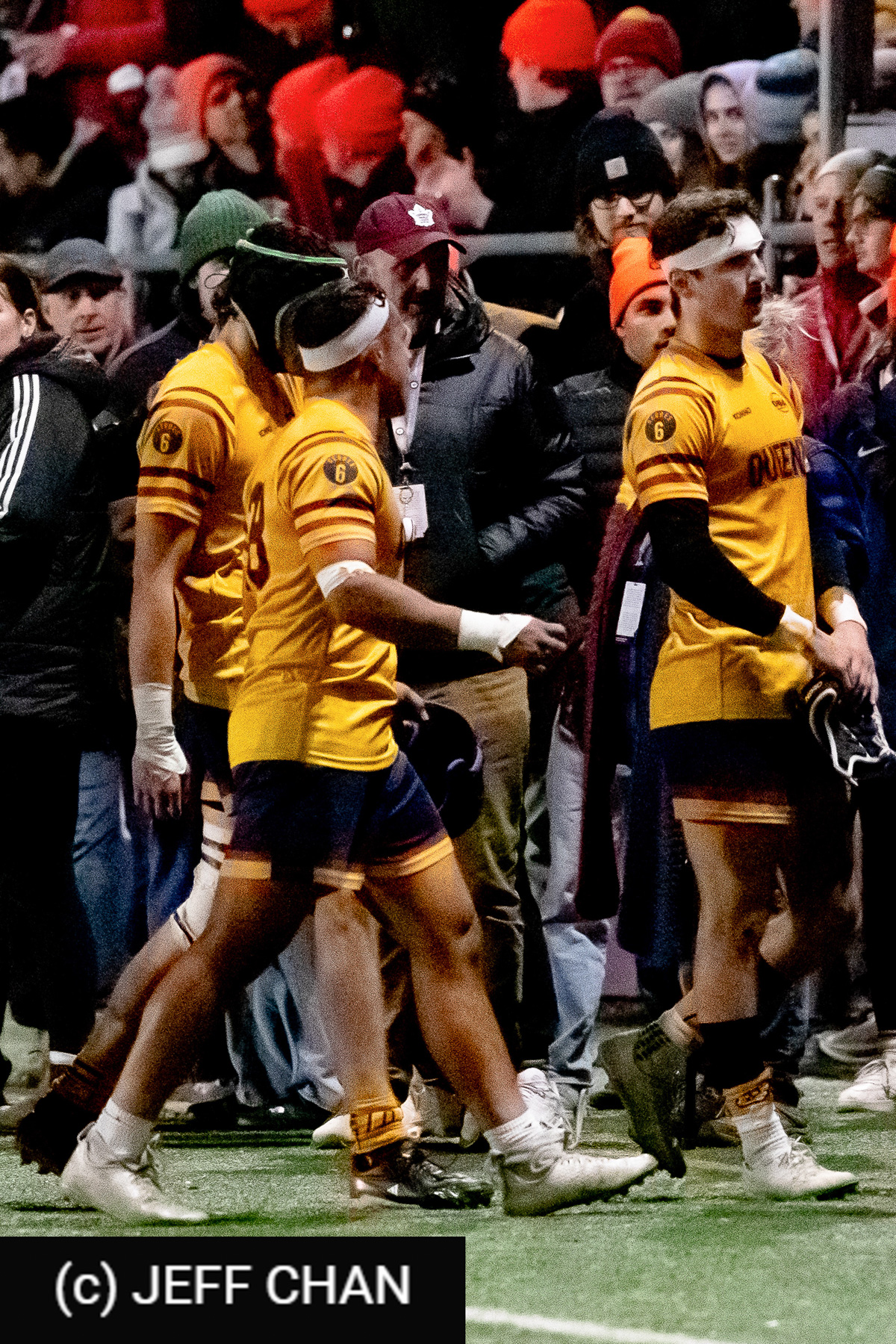  Queen's University - University of Guelph - Rugby - CANUMENS 2024 - Semi final - Queen's vs Guelph by Jeff Chan (#CANUMENS2408) Photo by: Jeff Chan | Siuxy Sports 2024-11-15