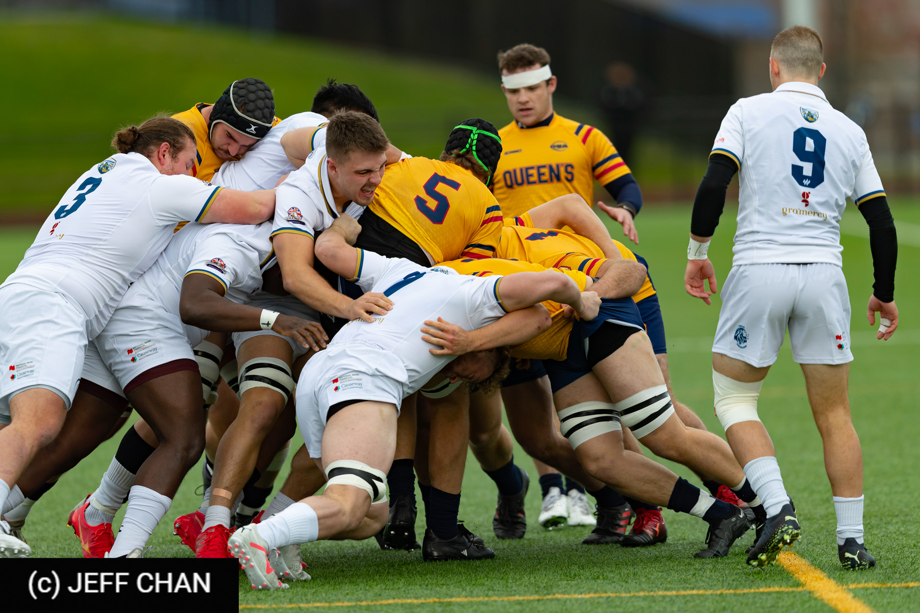  Queen's University - Trinity Western University - Rugby - CANUMENS 2023 - Queen's vs Trinity U by Jeff Chan (#CANUMENS2309) Photo by: Jeff Chan | Siuxy Sports 2023-11-19