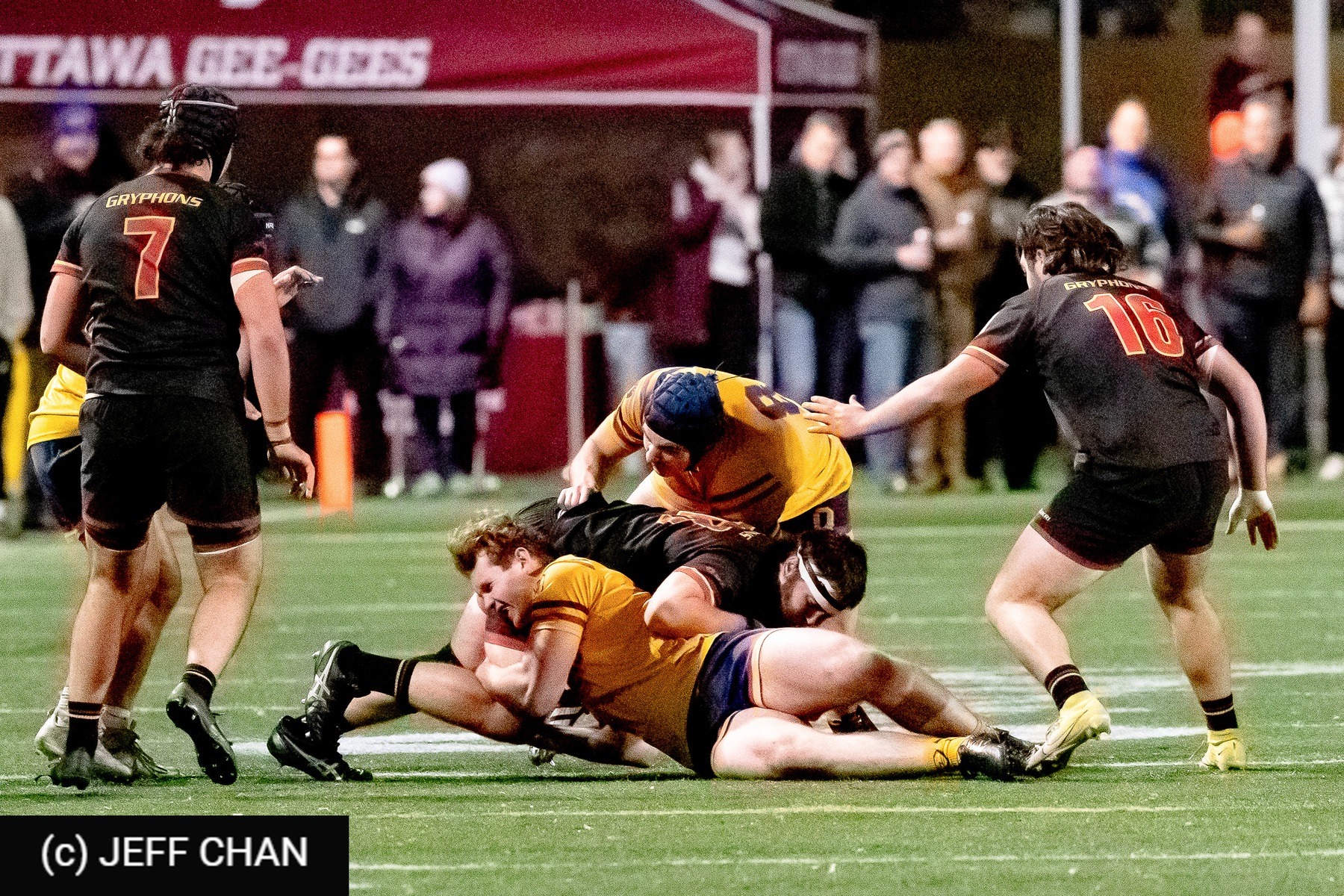 Queen's University - University of Guelph - Rugby - OUA 2024 Queen's vs Guelph (#OUA24QUG15) Photo by: Jeff Chan | Siuxy Sports 2024-11-15
