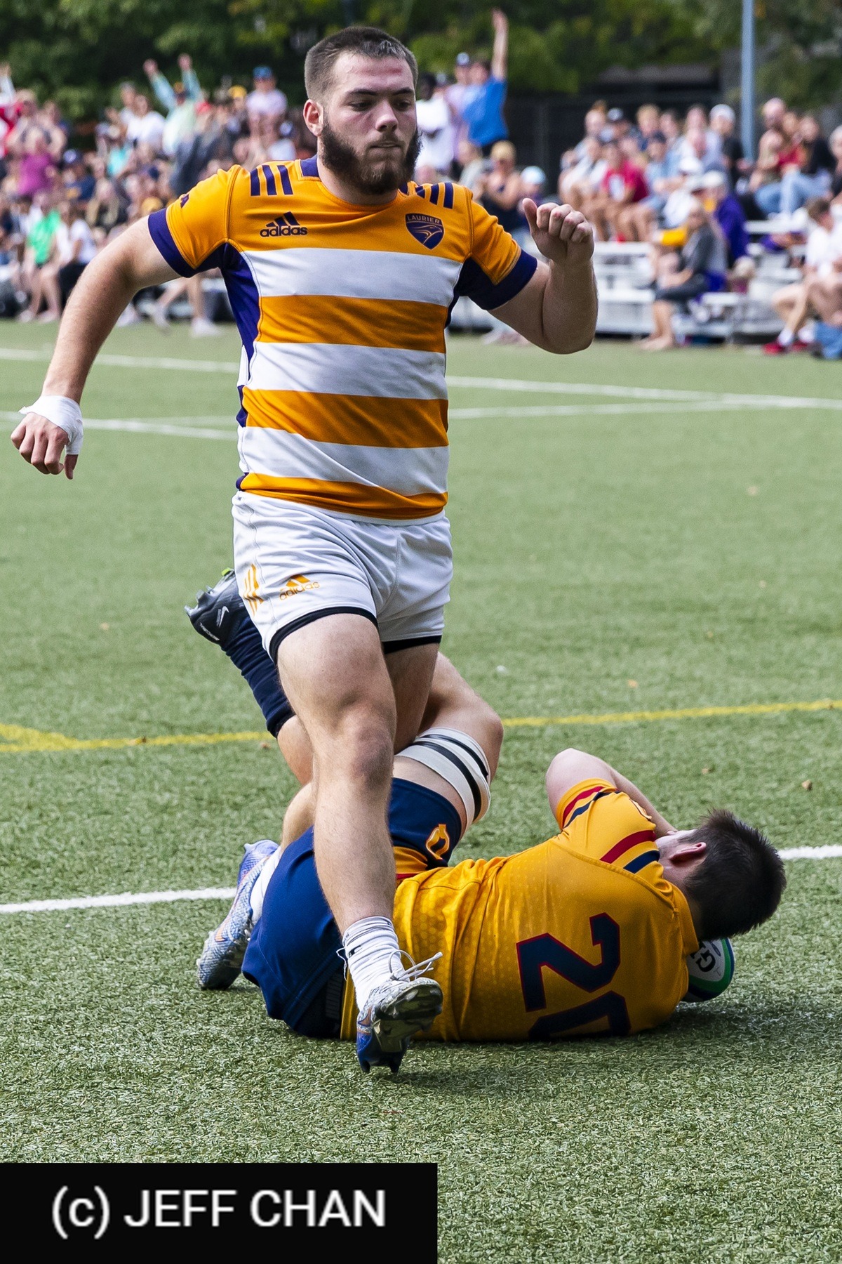  Queen's University - Wilfrid Laurier University - Rugby - OUA 2023 Queen's vs Laurier (#OUA23QULA09) Photo by: Jeff Chan | Siuxy Sports 2023-09-23