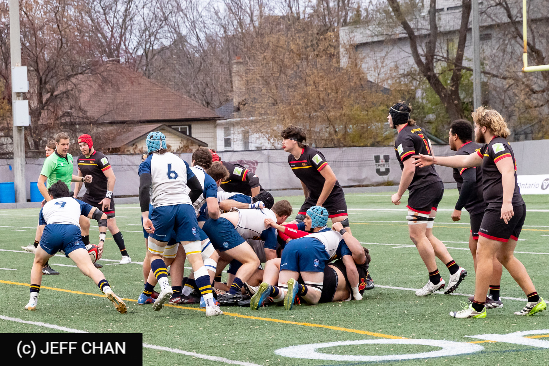  University of British Columbia - University of Guelph - Rugby - CANUMENS 2024 - Bronze - UBC vs Guelph by Jeff Chan (#CANUMENS2411) Photo by: Jeff Chan | Siuxy Sports 2024-11-17