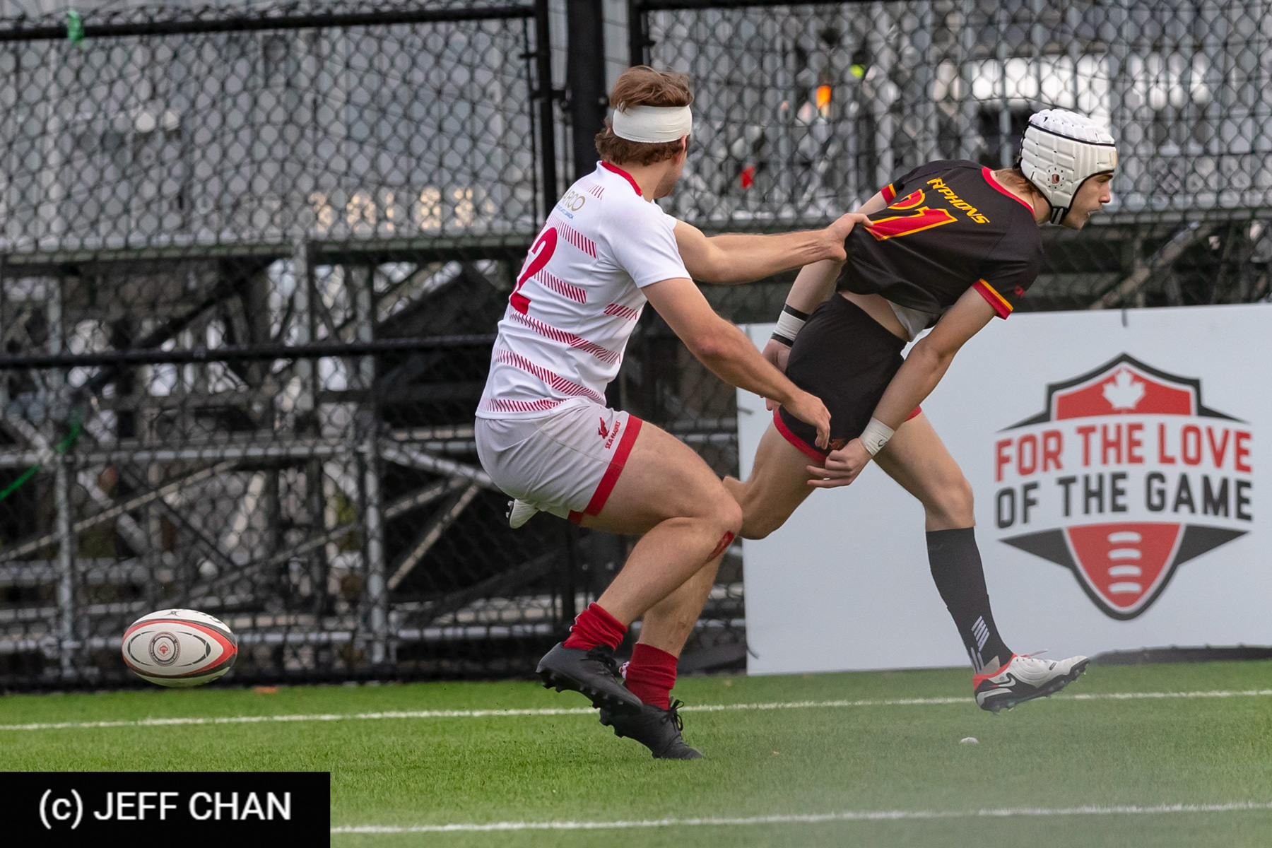  University of Guelph - Memorial University of Newfoundland - Rugby - CANUMENS 2023 - Bronze final - Guelph vs Memorial U by Jeff Chan (#CANUMENS2311) Photo by: Jeff Chan | Siuxy Sports 2023-11-19