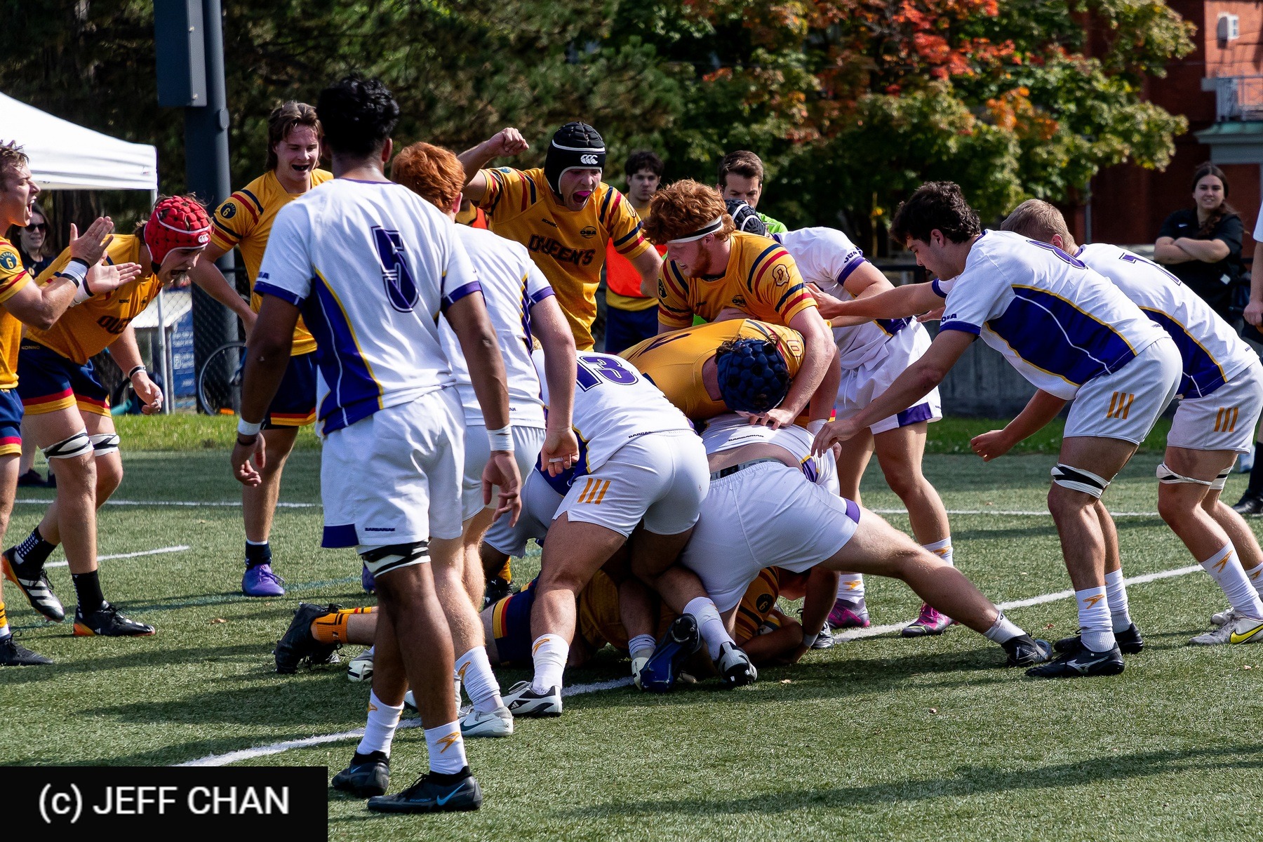 Queen's University - Wilfrid Laurier University - Rugby - OUA 2024 Queen's vs Laurier (#OUA24QULA10) Photo by: Jeff Chan | Siuxy Sports 2024-10-05