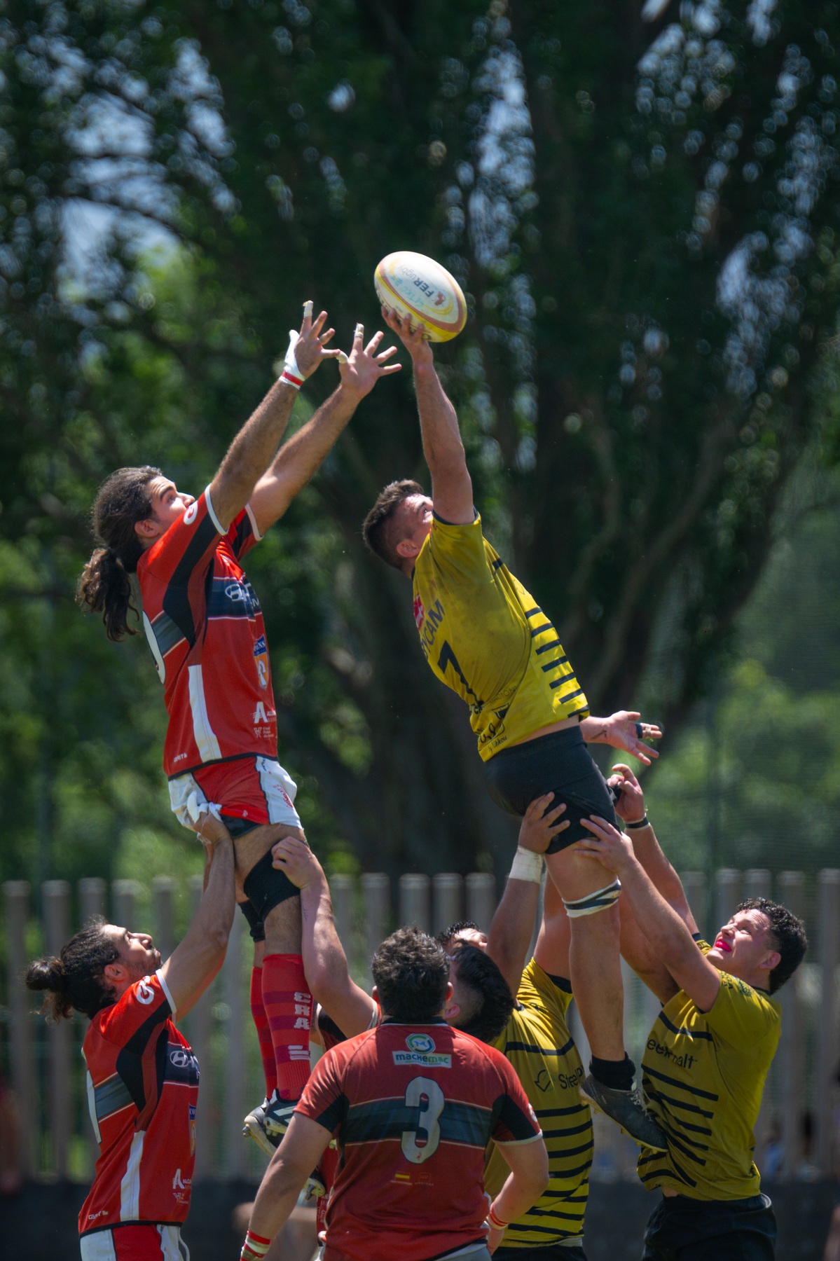 Getxo Artea Rugby Taldea - CAU Rugby Valencia - Rugby - FER 2026 - Getxo Rugby vs CAU Rugby Valencia (#FER26GRCAURV6) Photo by: Fredy Monfoto | Siuxy Sports 2026-06-07