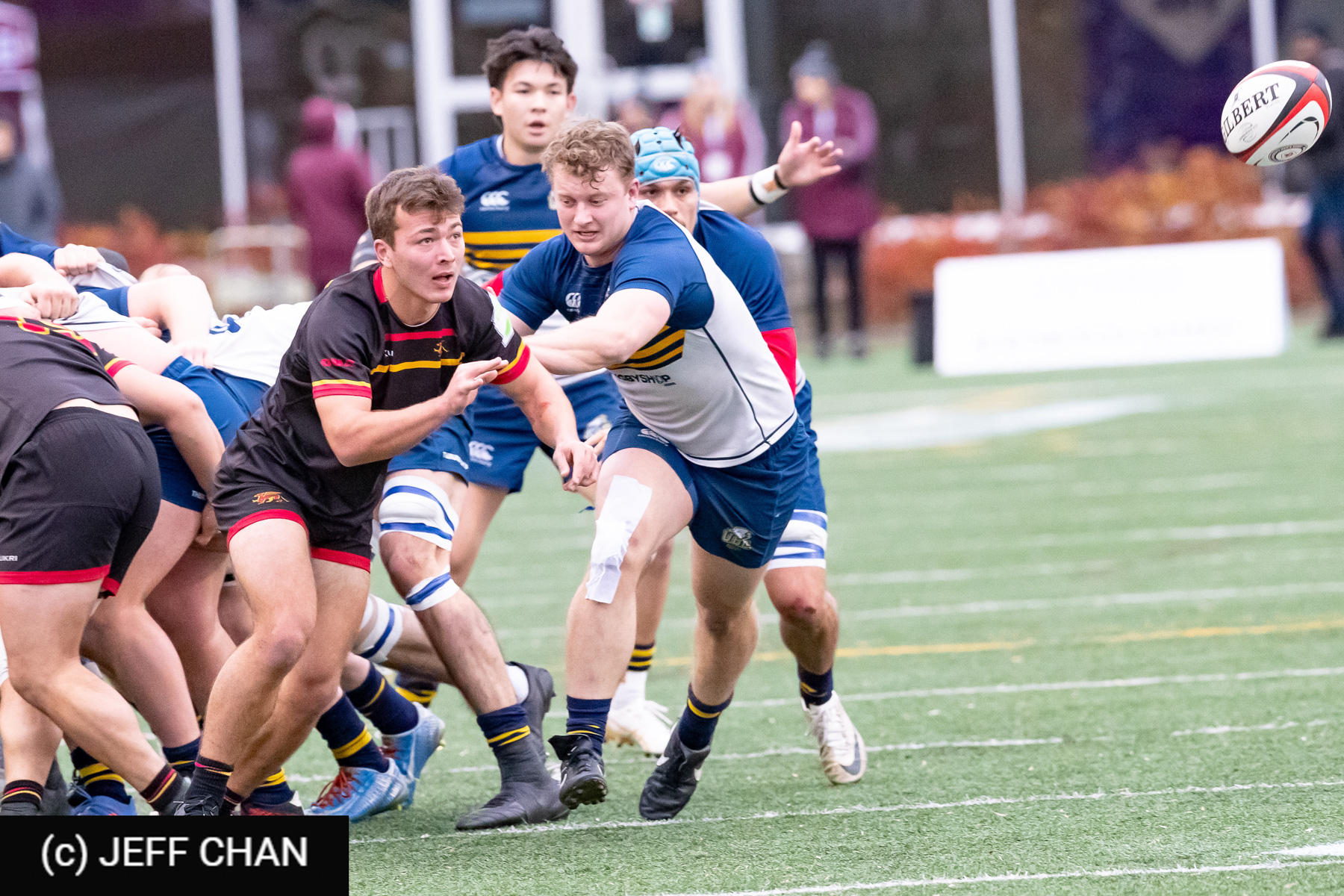 Callum ARNESEN - Logan CAKO - Stephen WEBB -  University of British Columbia - University of Guelph - Rugby - CANUMENS 2024 - Bronze - UBC vs Guelph by Jeff Chan (#CANUMENS2411) Photo by: Jeff Chan | Siuxy Sports 2024-11-17