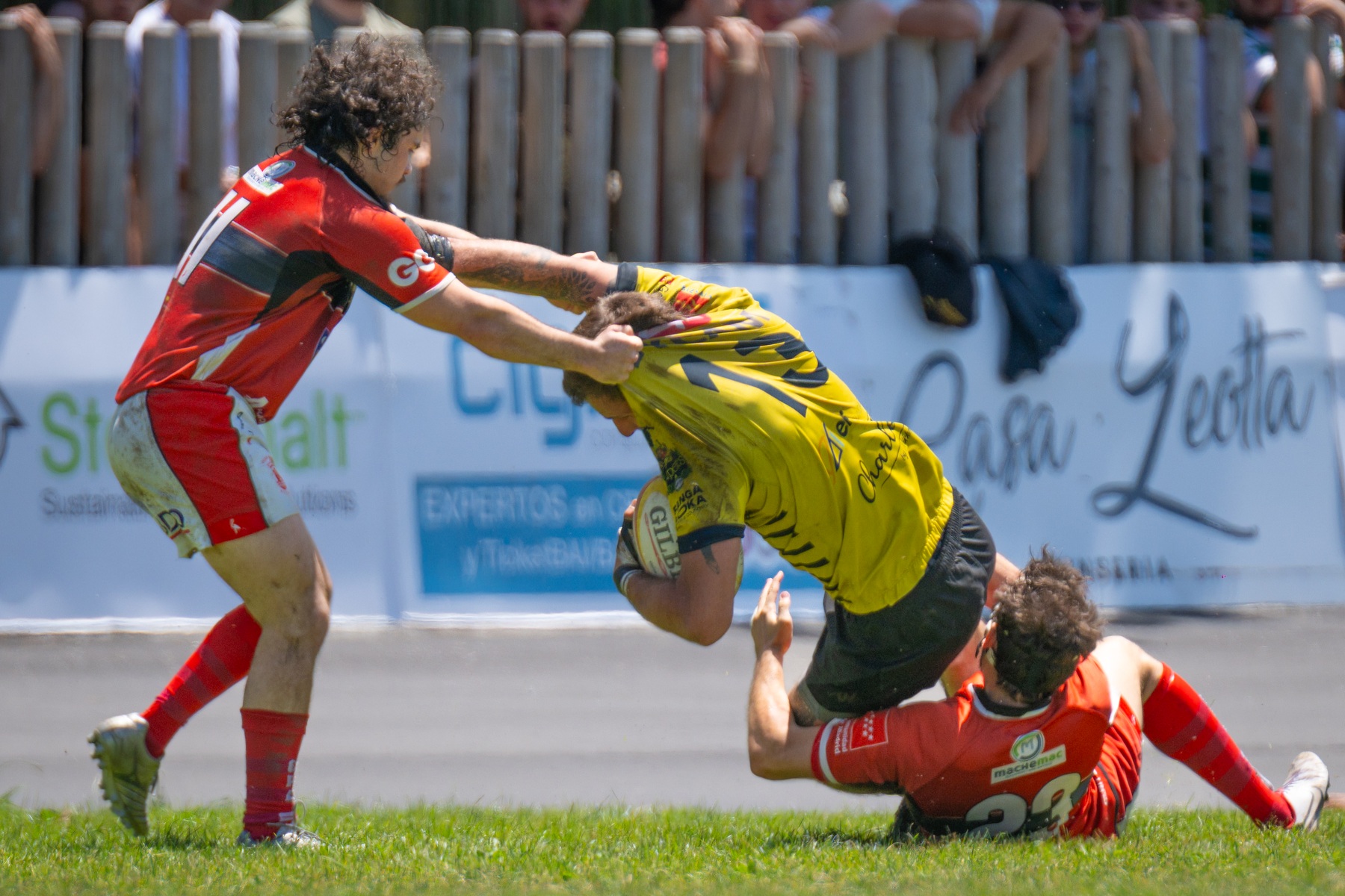  Getxo Artea Rugby Taldea - CAU Rugby Valencia - Rugby - FER 2026 - Getxo Rugby vs CAU Rugby Valencia (#FER26GRCAURV6) Photo by: Fredy Monfoto | Siuxy Sports 2026-06-07