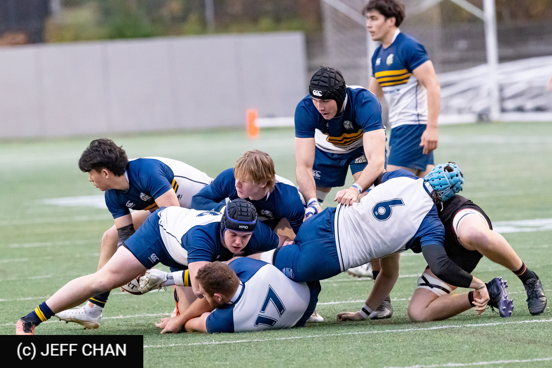 Alastair MARSHALL -  University of British Columbia - University of Guelph - Rugby - CANUMENS 2024 - Bronze - UBC vs Guelph by Jeff Chan (#CANUMENS2411) Photo by: Jeff Chan | Siuxy Sports 2024-11-17