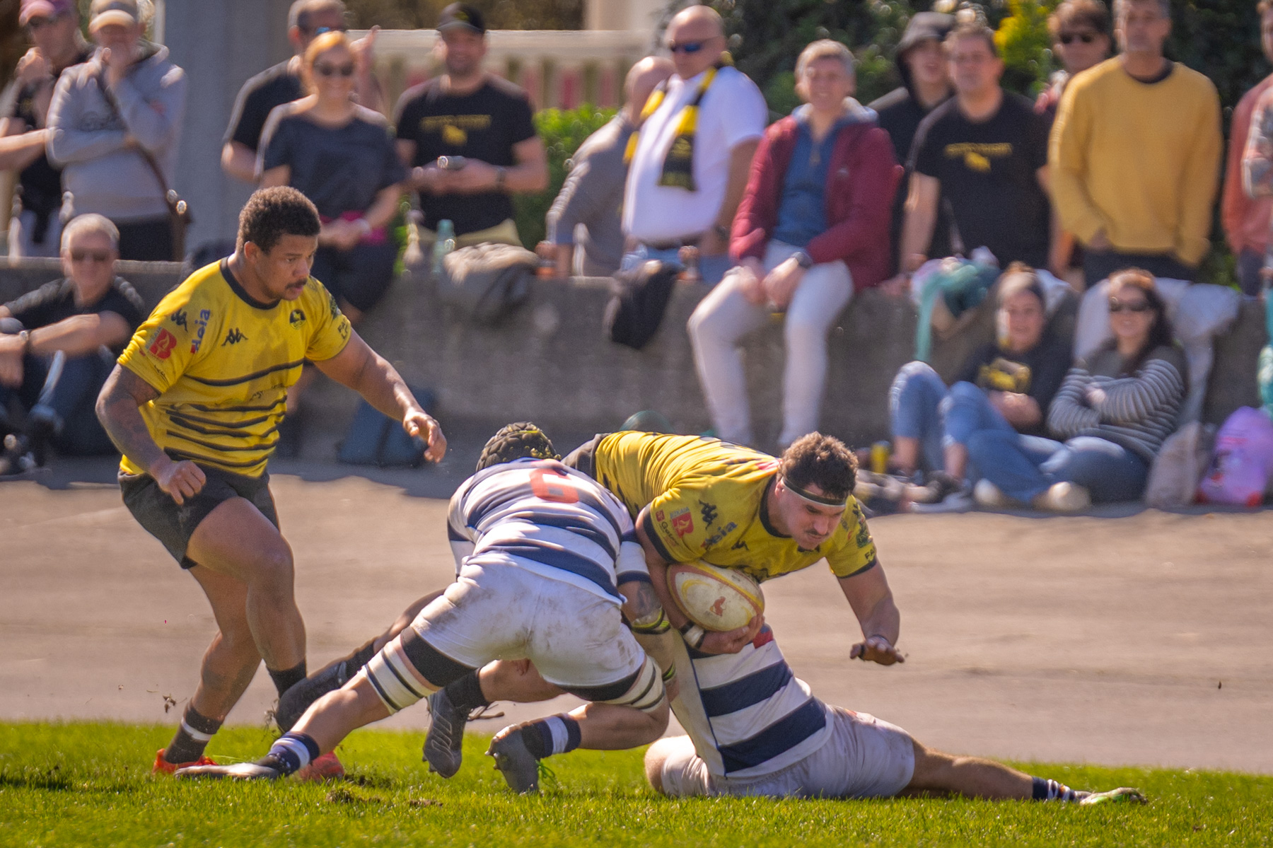  Getxo Artea Rugby Taldea - Soto del Real Rugby Club - Rugby - FER 2026 - Fase Ascenso a Liga Elite - Getxo vs Soto del Real (#FER26ALEGS3) Photo by: Fredy Monfoto | Siuxy Sports 2026-03-01