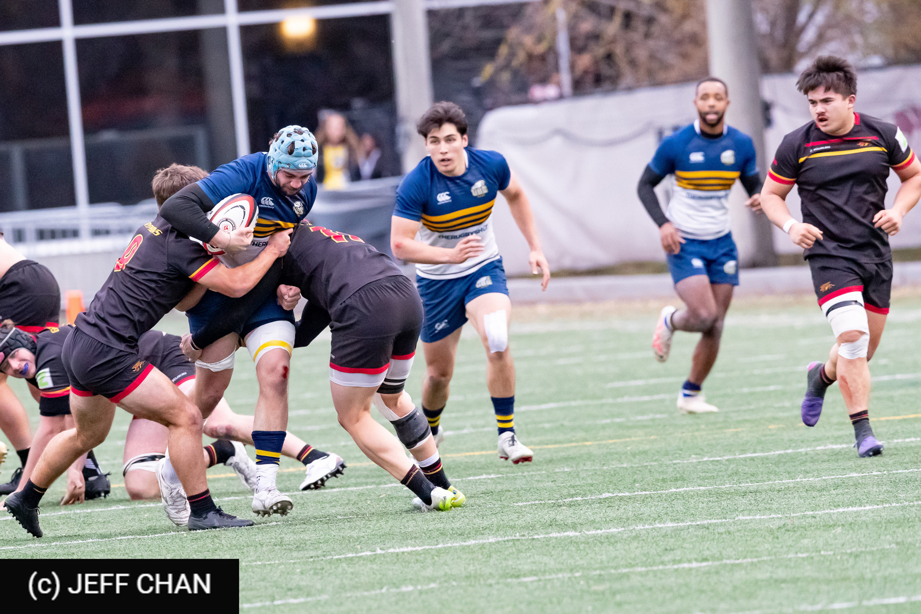 Alastair MARSHALL -  University of British Columbia - University of Guelph - Rugby - CANUMENS 2024 - Bronze - UBC vs Guelph by Jeff Chan (#CANUMENS2411) Photo by: Jeff Chan | Siuxy Sports 2024-11-17