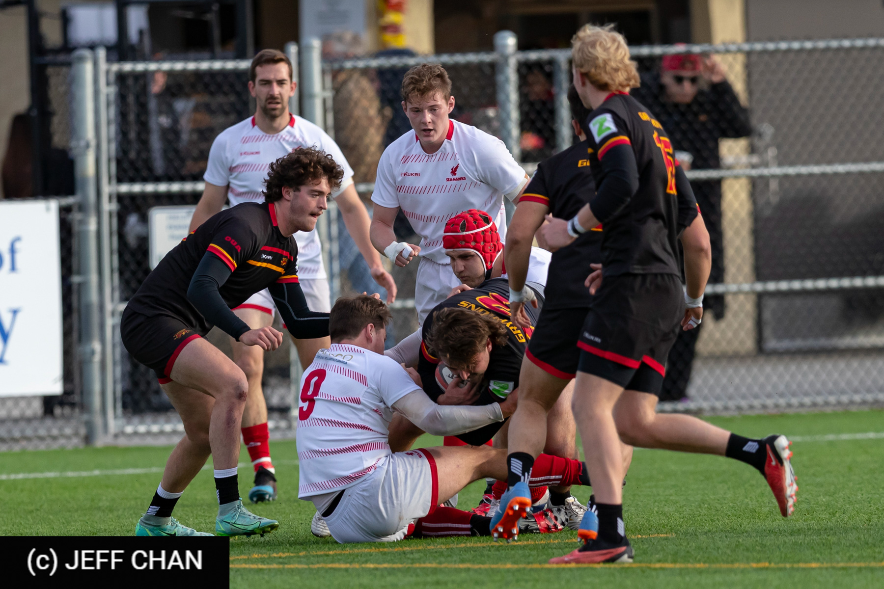  University of Guelph - Memorial University of Newfoundland - Rugby - CANUMENS 2023 - Bronze final - Guelph vs Memorial U by Jeff Chan (#CANUMENS2311) Photo by: Jeff Chan | Siuxy Sports 2023-11-19