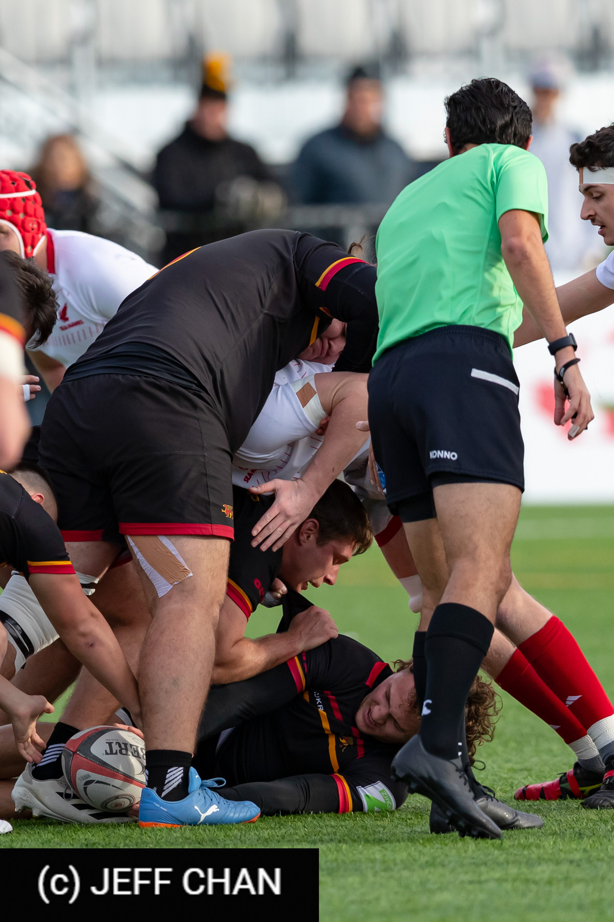  University of Guelph - Memorial University of Newfoundland - Rugby - CANUMENS 2023 - Bronze final - Guelph vs Memorial U by Jeff Chan (#CANUMENS2311) Photo by: Jeff Chan | Siuxy Sports 2023-11-19