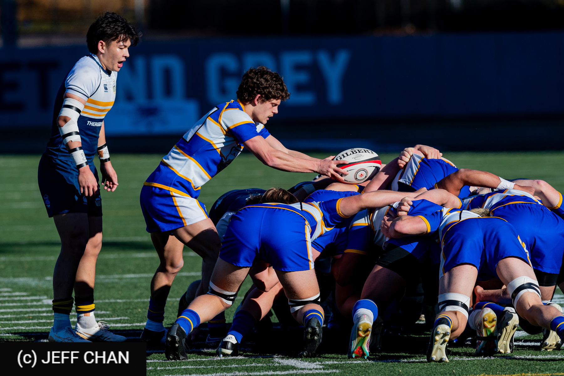  University of British Columbia - University of British Columbia Okanagan - Rugby - CANUMENS 2024 - Qtr final - UBC vs UBCO by Jeff Chan (#CANUMENS2401) Photo by: Jeff Chan | Siuxy Sports 2024-11-13