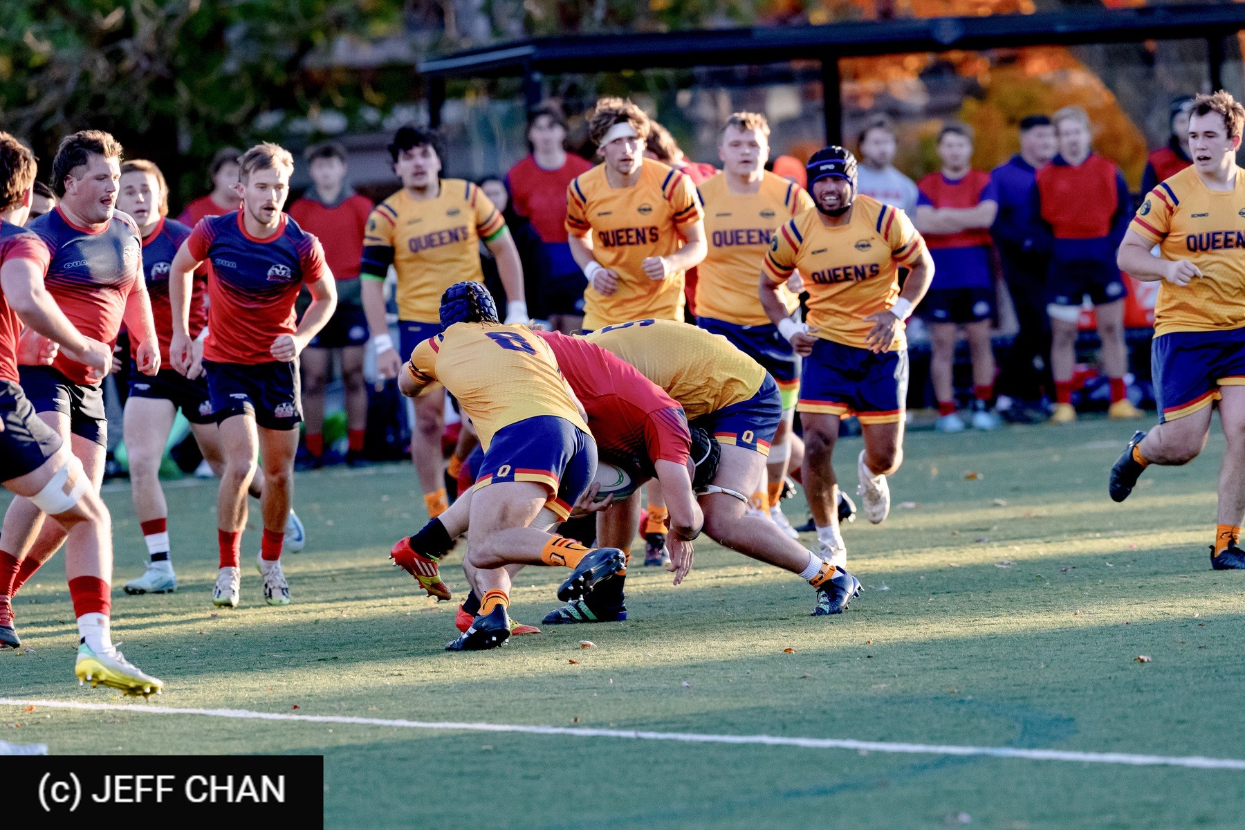  Queen's University - Brock University - Rugby - OUA 2024 Queen's vs Brock (#OUA24QUBR10) Photo by: Jeff Chan | Siuxy Sports 2024-10-26