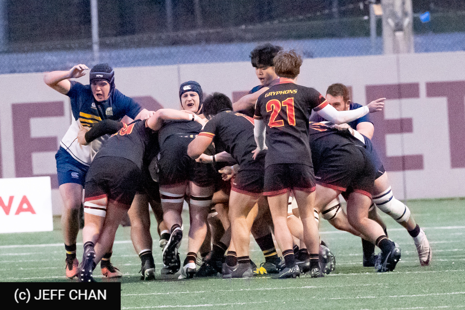  University of British Columbia - University of Guelph - Rugby - CANUMENS 2024 - Bronze - UBC vs Guelph by Jeff Chan (#CANUMENS2411) Photo by: Jeff Chan | Siuxy Sports 2024-11-17