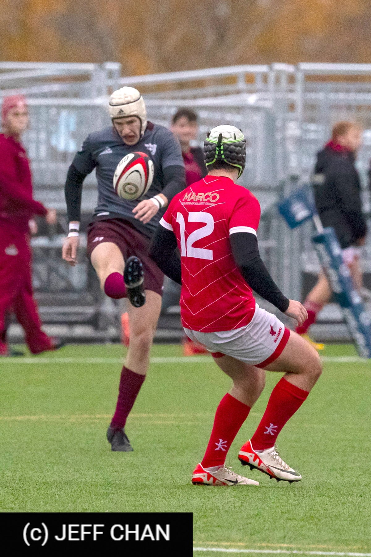  Memorial University of Newfoundland - Université Ottawa - Rugby - CANUMENS 2023 - Quarter final - Memorial vs U Ottawa by Jeff Chan (#CANUMENS2303) Photo by: Jeff Chan | Siuxy Sports 2023-11-15