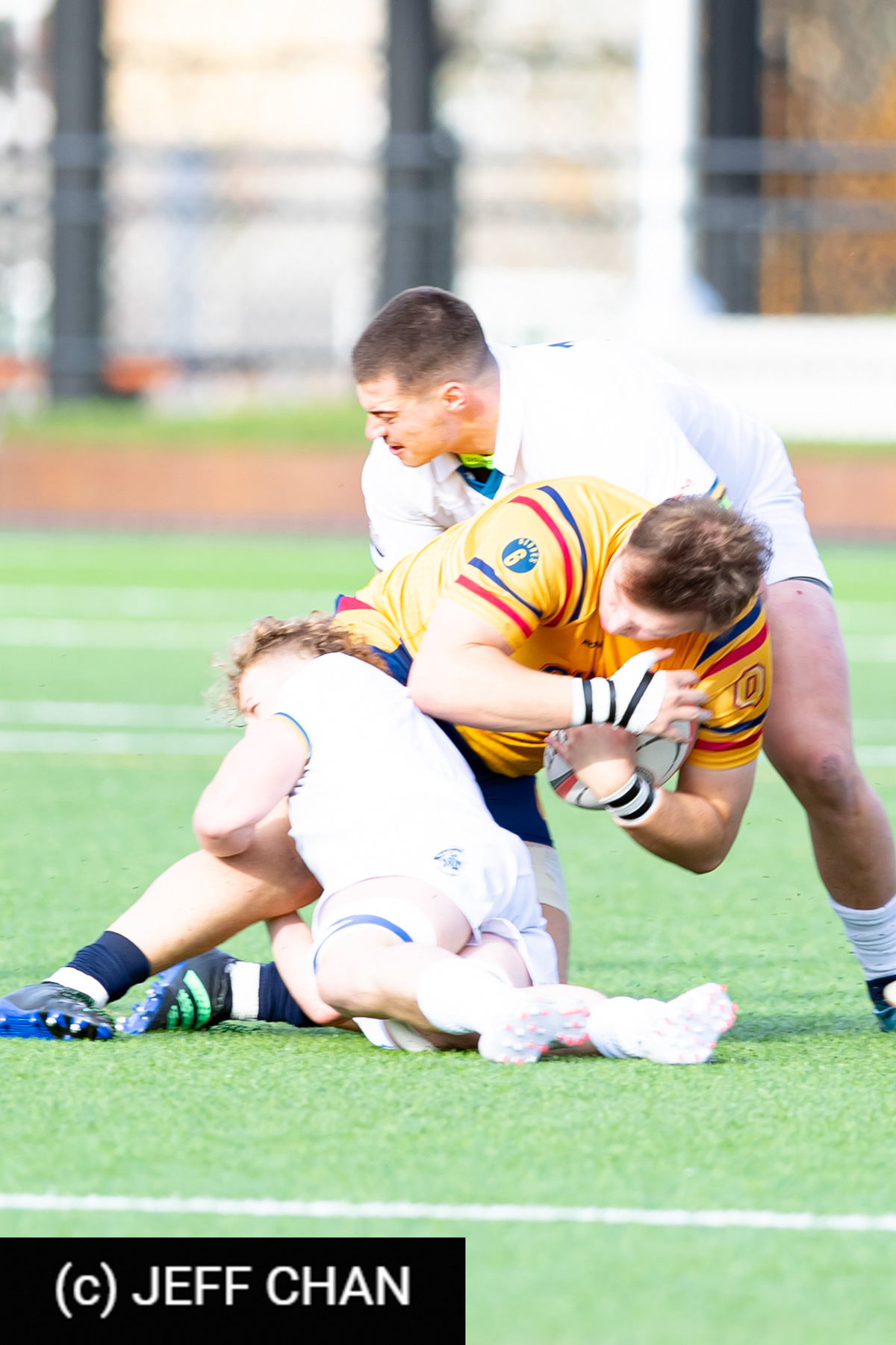  Queen's University - Trinity Western University - Rugby - CANUMENS 2023 - Queen's vs Trinity U by Jeff Chan (#CANUMENS2309) Photo by: Jeff Chan | Siuxy Sports 2023-11-19