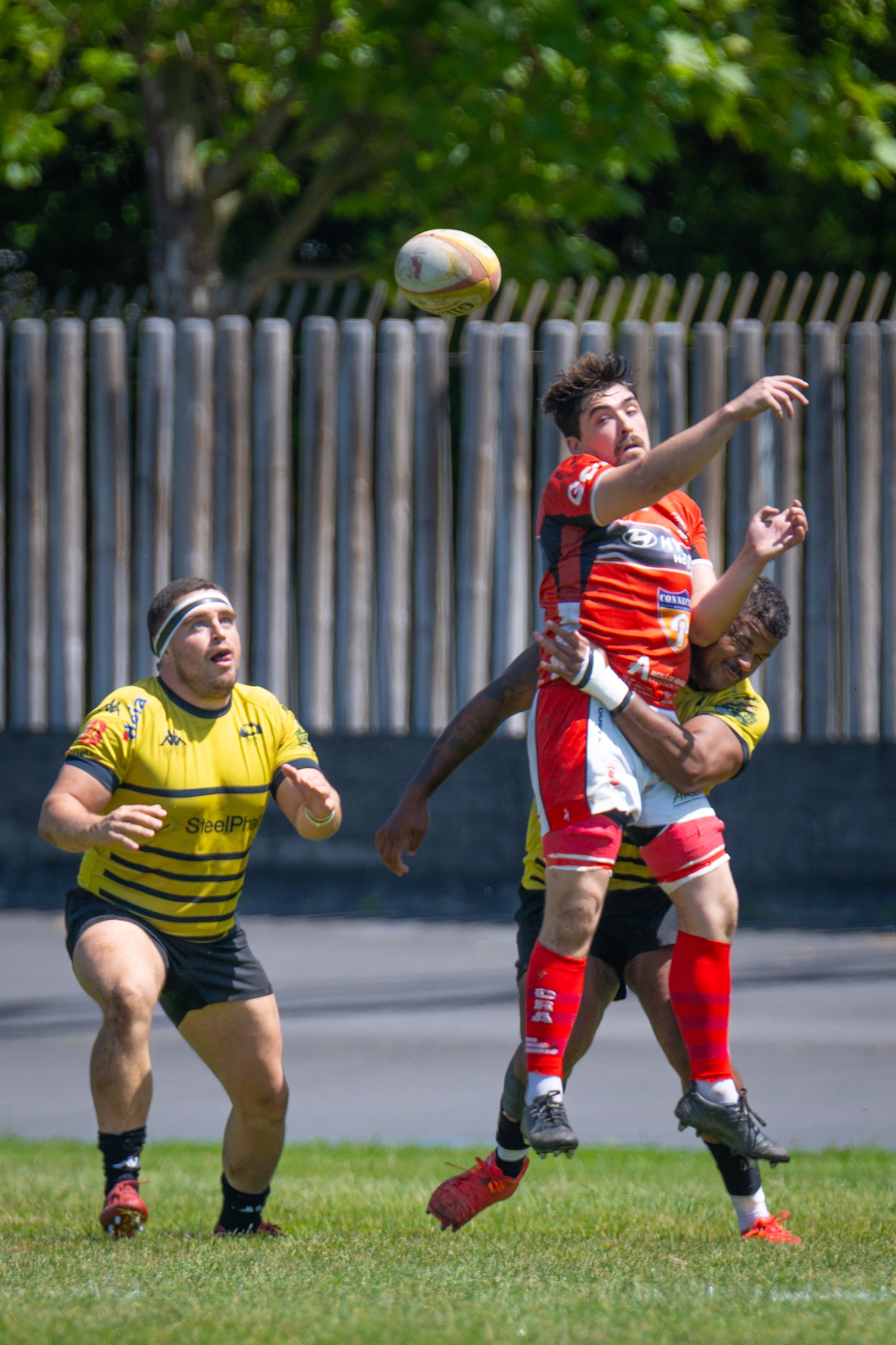  Getxo Artea Rugby Taldea - CAU Rugby Valencia - Rugby - FER 2026 - Getxo Rugby vs CAU Rugby Valencia (#FER26GRCAURV6) Photo by: Fredy Monfoto | Siuxy Sports 2026-06-07