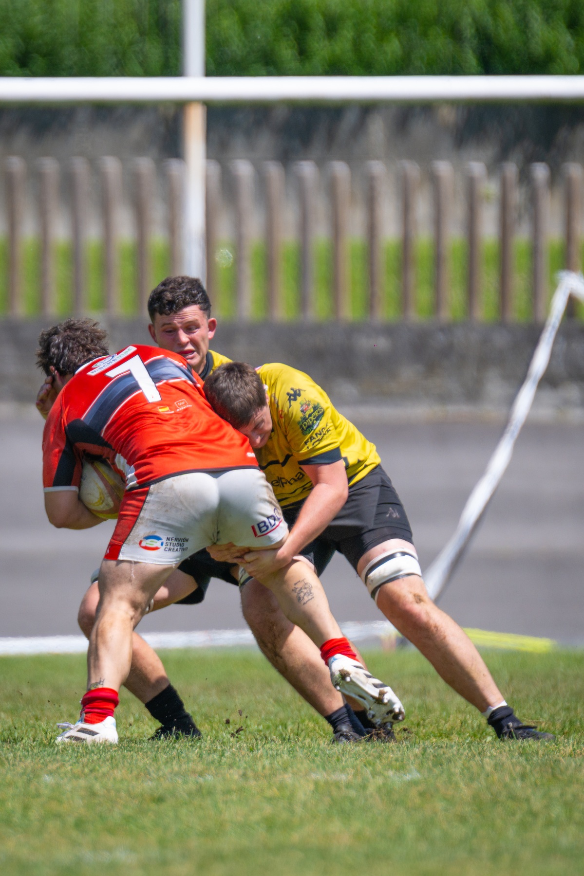  Getxo Artea Rugby Taldea - CAU Rugby Valencia - Rugby - FER 2026 - Getxo Rugby vs CAU Rugby Valencia (#FER26GRCAURV6) Photo by: Fredy Monfoto | Siuxy Sports 2026-06-07