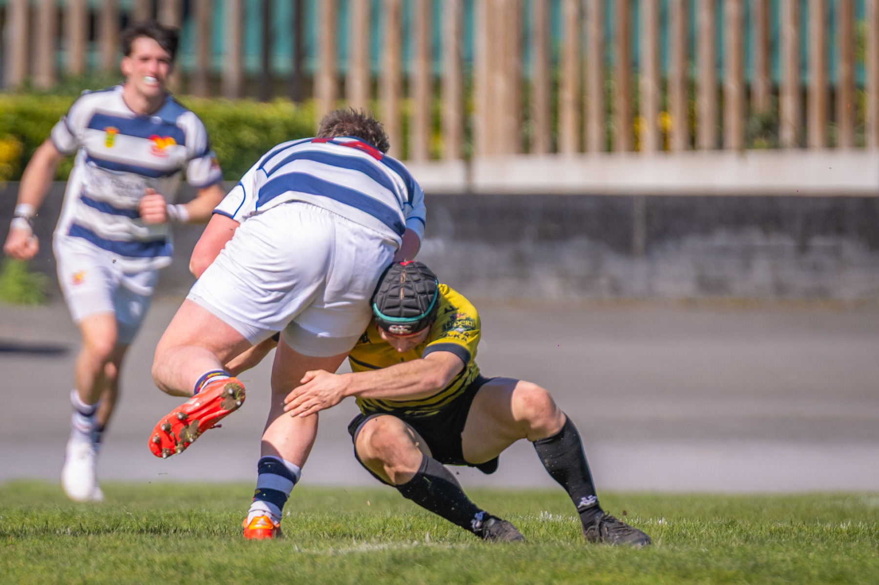  Getxo Artea Rugby Taldea - Soto del Real Rugby Club - Rugby - FER 2026 - Fase Ascenso a Liga Elite - Getxo vs Soto del Real (#FER26ALEGS3) Photo by: Fredy Monfoto | Siuxy Sports 2026-03-01