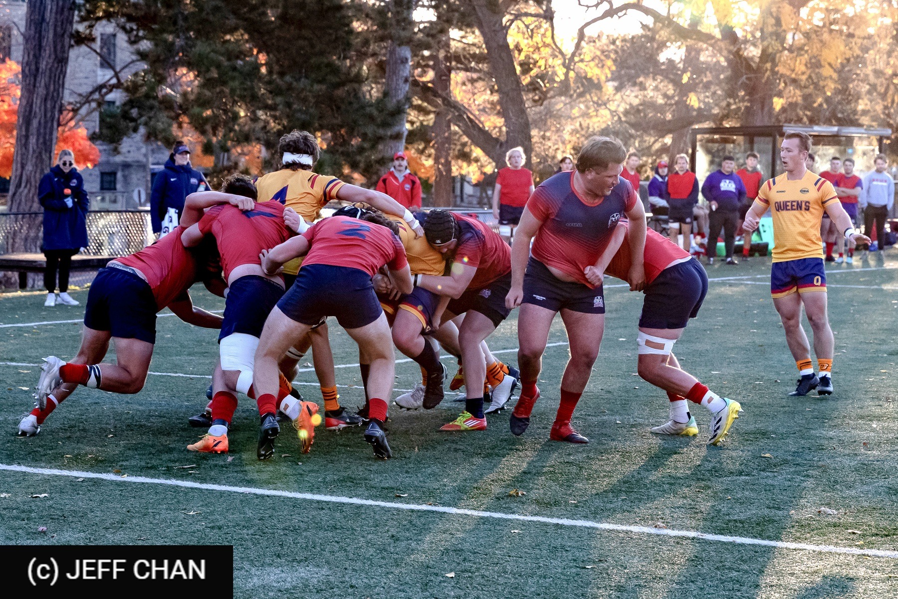  Queen's University - Brock University - Rugby - OUA 2024 Queen's vs Brock (#OUA24QUBR10) Photo by: Jeff Chan | Siuxy Sports 2024-10-26