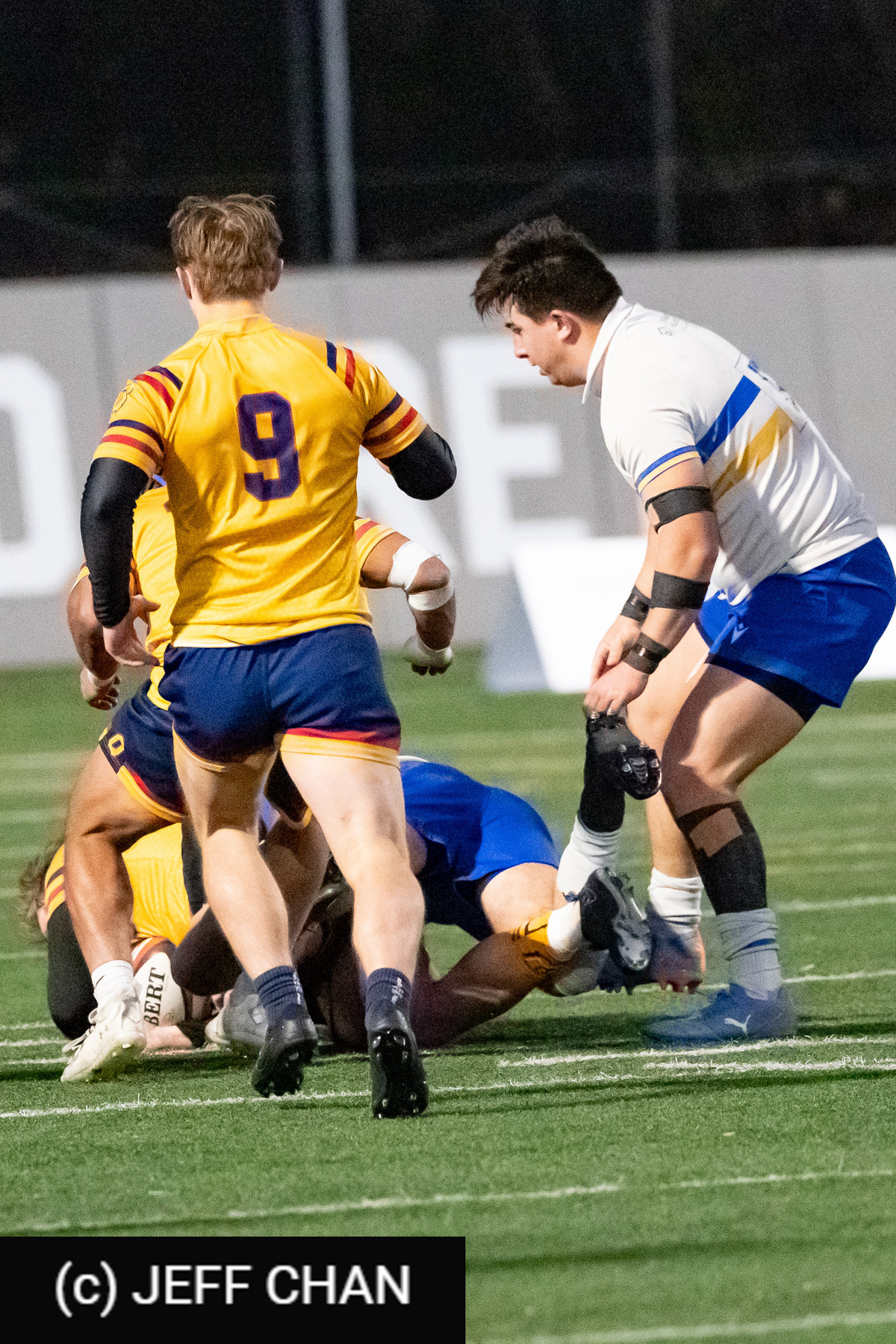  Queen's University - University of Victoria - Rugby - CANUMENS 2024 - Qtr final - Queen's vs UVic by Jeff Chan (#CANUMENS2403) Photo by: Jeff Chan | Siuxy Sports 2024-11-13