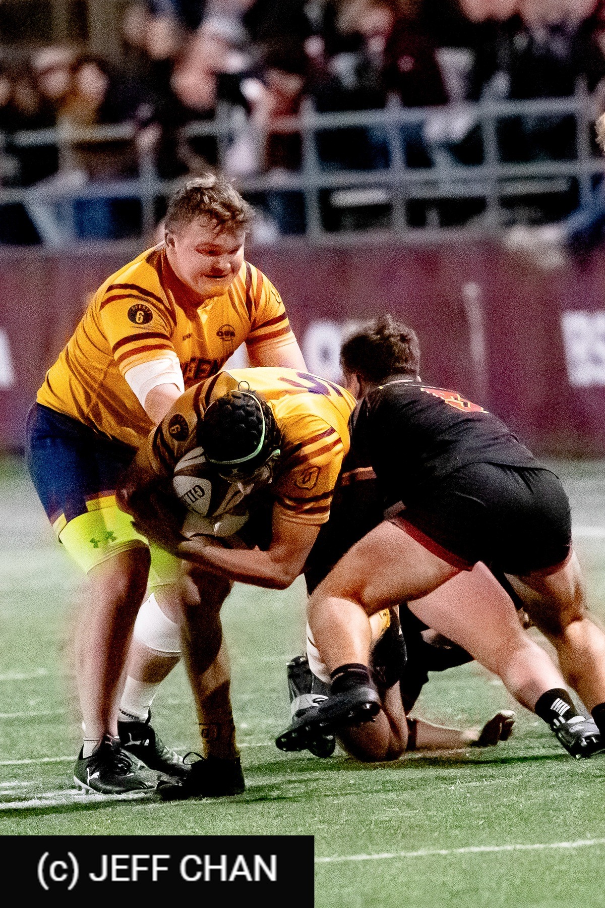  Queen's University - University of Guelph - Rugby - OUA 2024 Queen's vs Guelph (#OUA24QUG15) Photo by: Jeff Chan | Siuxy Sports 2024-11-15