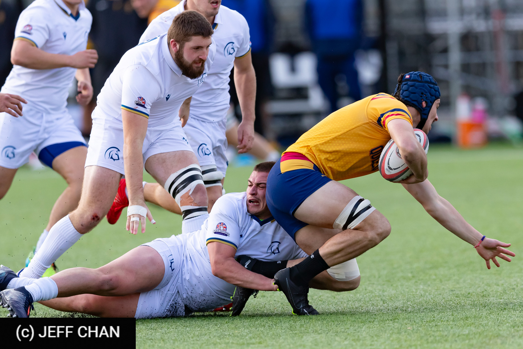  Queen's University - Trinity Western University - Rugby - CANUMENS 2023 - Queen's vs Trinity U by Jeff Chan (#CANUMENS2309) Photo by: Jeff Chan | Siuxy Sports 2023-11-19