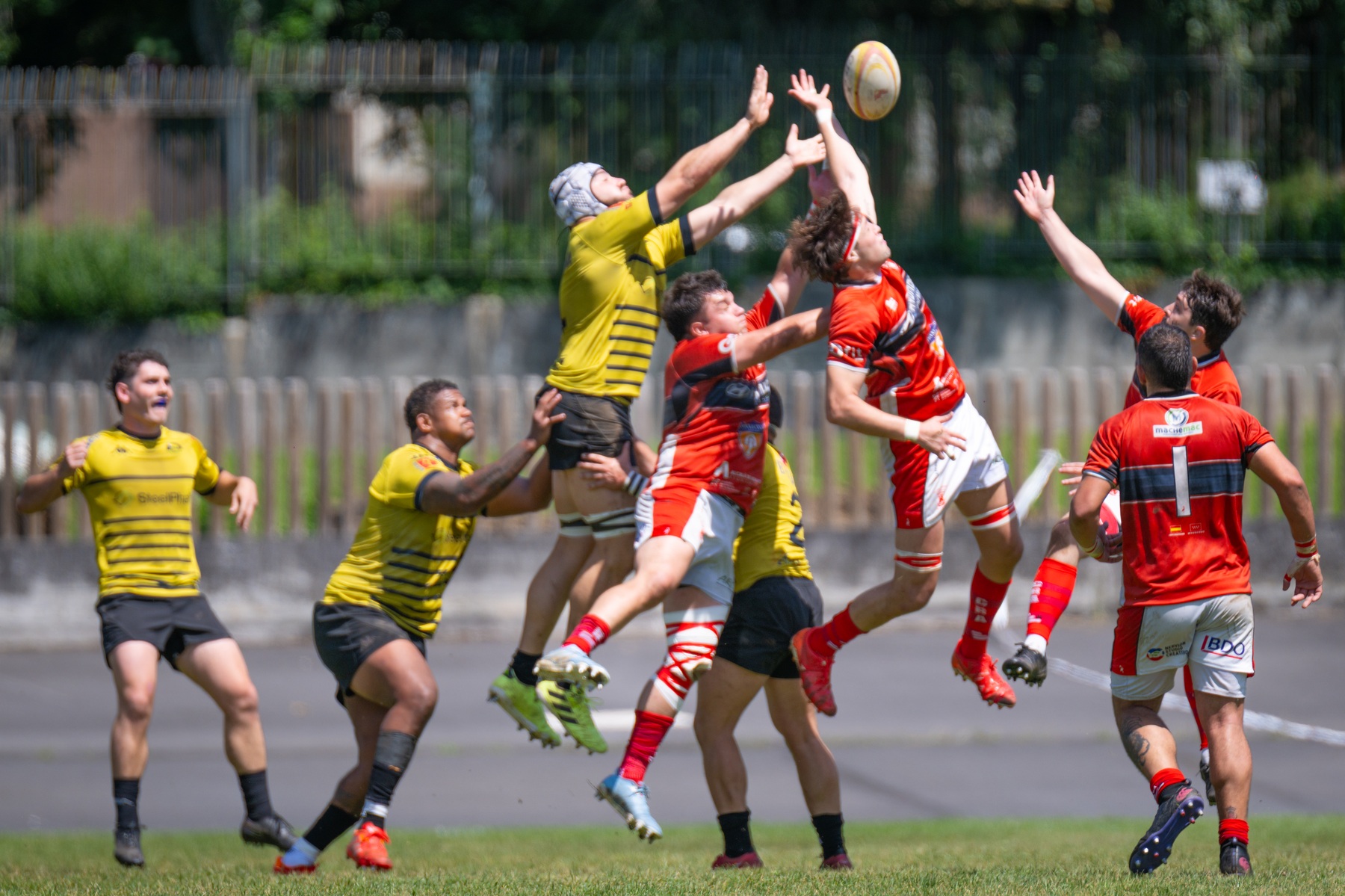  Getxo Artea Rugby Taldea - CAU Rugby Valencia - Rugby - FER 2026 - Getxo Rugby vs CAU Rugby Valencia (#FER26GRCAURV6) Photo by: Fredy Monfoto | Siuxy Sports 2026-06-07