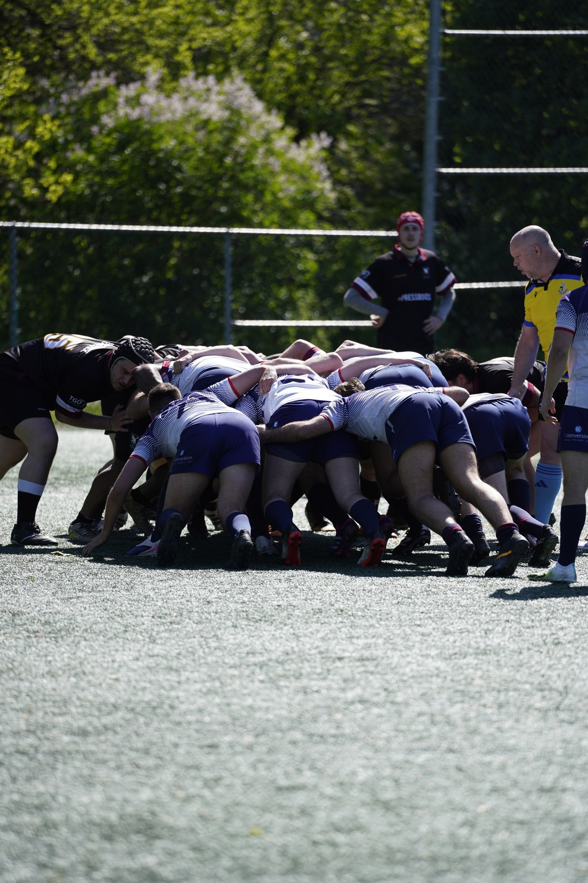  Rugby XV de Montréal - Westmount Rugby Club - Rugby - RQ 2026 - LP1R M - XV de Montréal vs Westmount (#RQ26LP1RXVMW) Photo by:  | Siuxy Sports 2026-05-30
