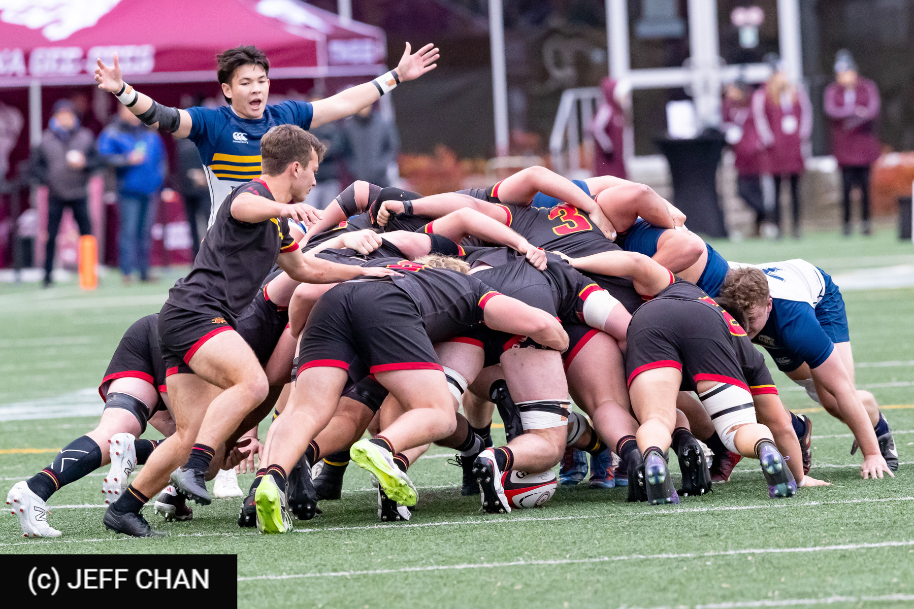 Stephen WEBB -  University of British Columbia - University of Guelph - Rugby - CANUMENS 2024 - Bronze - UBC vs Guelph by Jeff Chan (#CANUMENS2411) Photo by: Jeff Chan | Siuxy Sports 2024-11-17