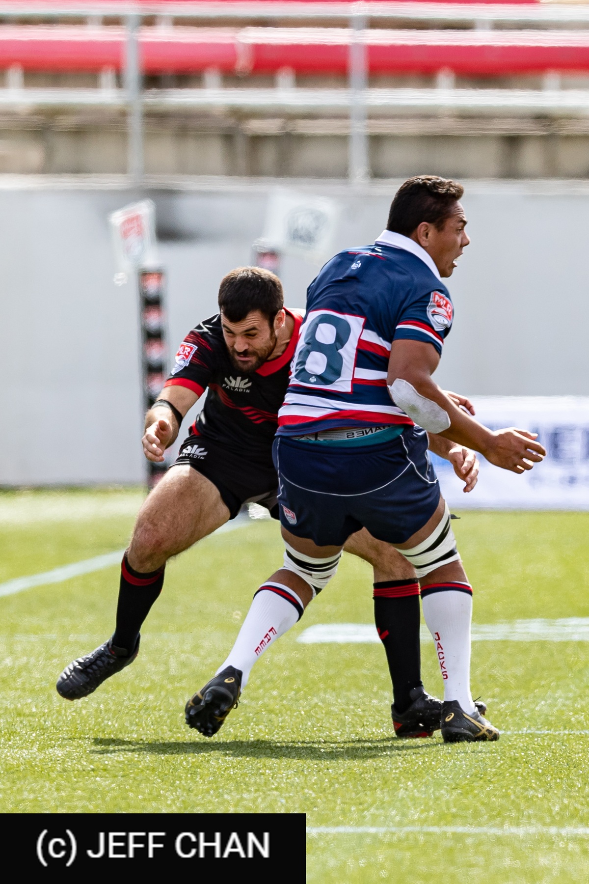  Utah - New England - Rugby - 2020 - Utah Warriors vs New England Free Jacks (#UWNEFJ2020) Photo by: Jeff Chan | Siuxy Sports 2020-02-15